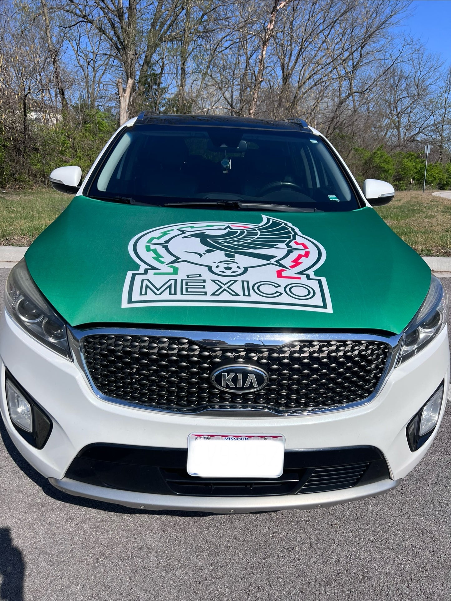 Mexico Soccer Car Hood Cover