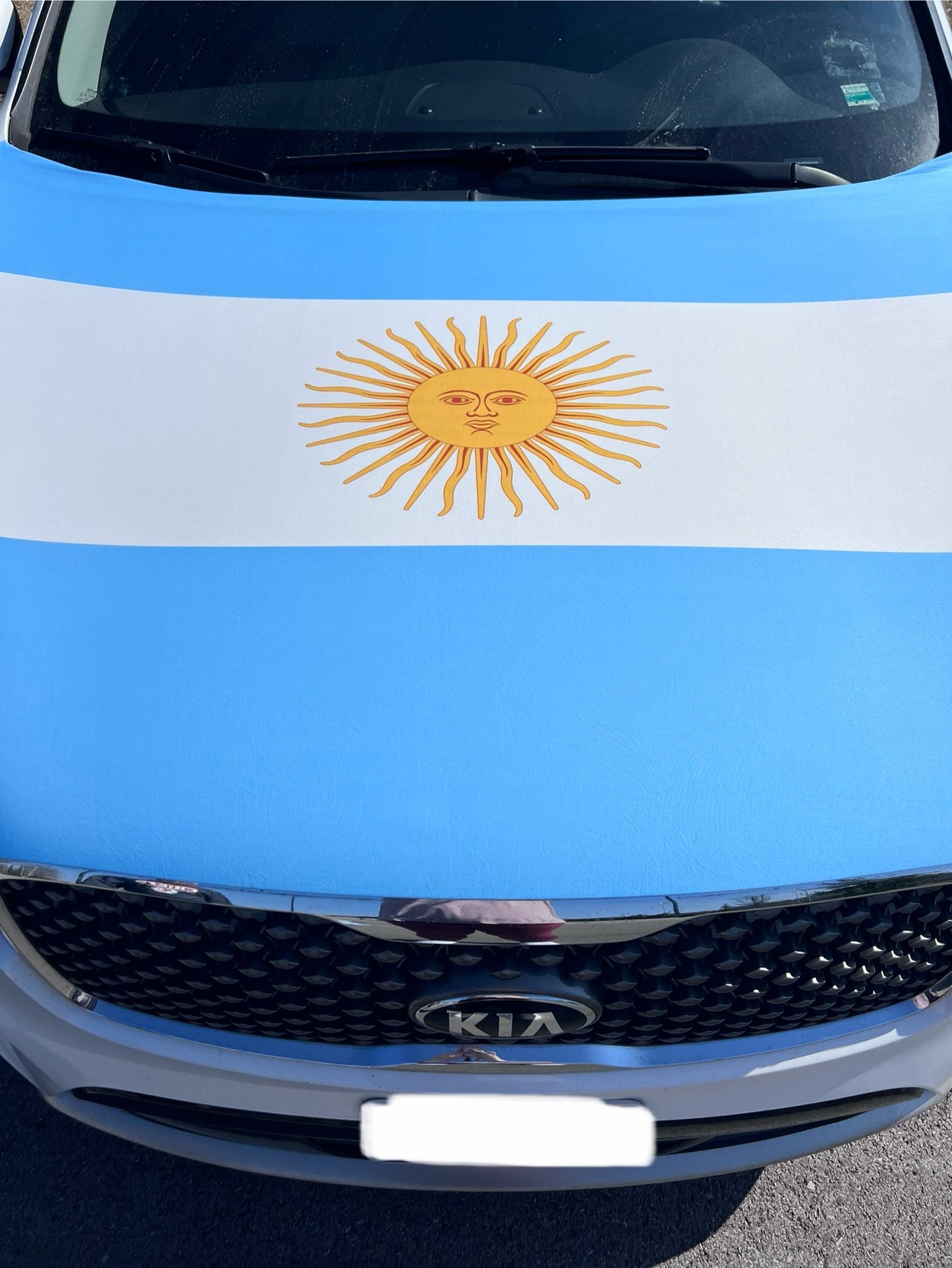 Argentina Flag Car Hood Cover