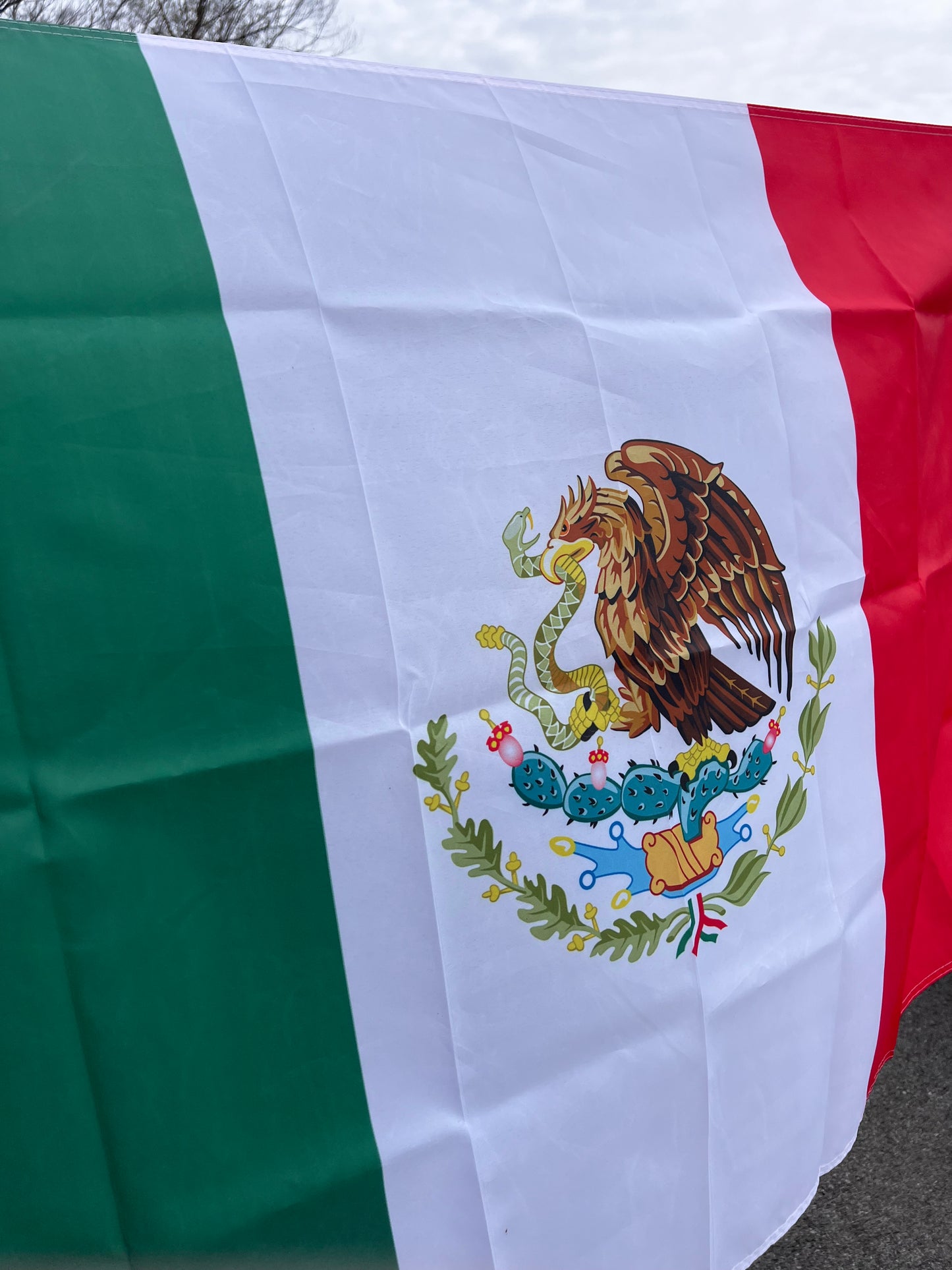 Large Indoor/Outdoor Mexico Flag