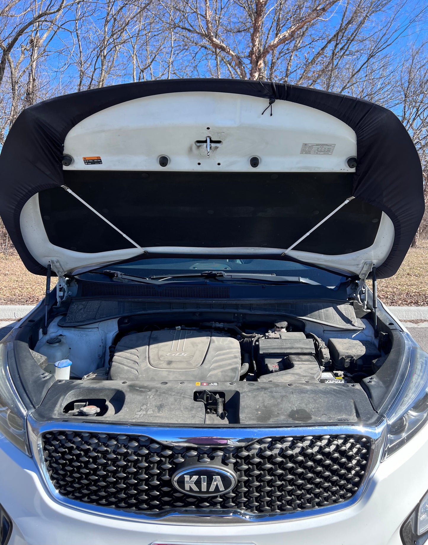 Philadelphia Eagles Super Bowl Champions Car Hood Cover