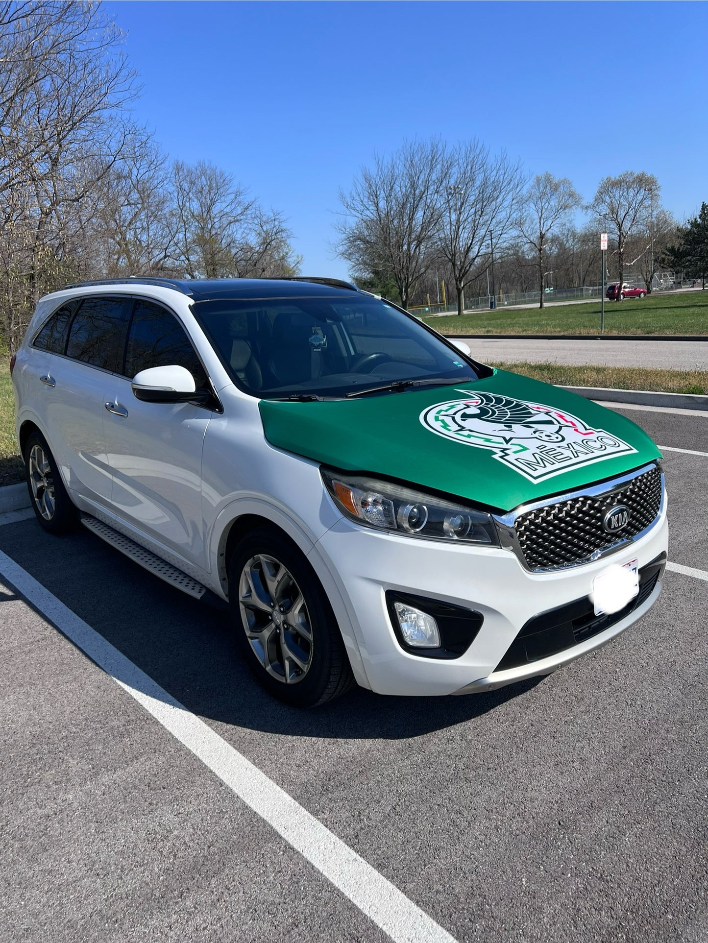 Mexico Soccer Car Hood Cover