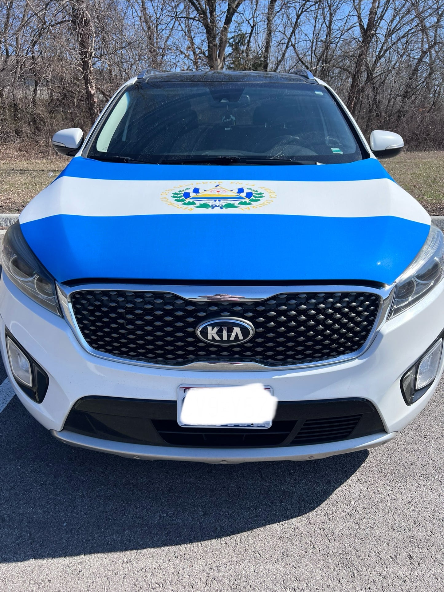 El Salvador Flag Car Hood Cover
