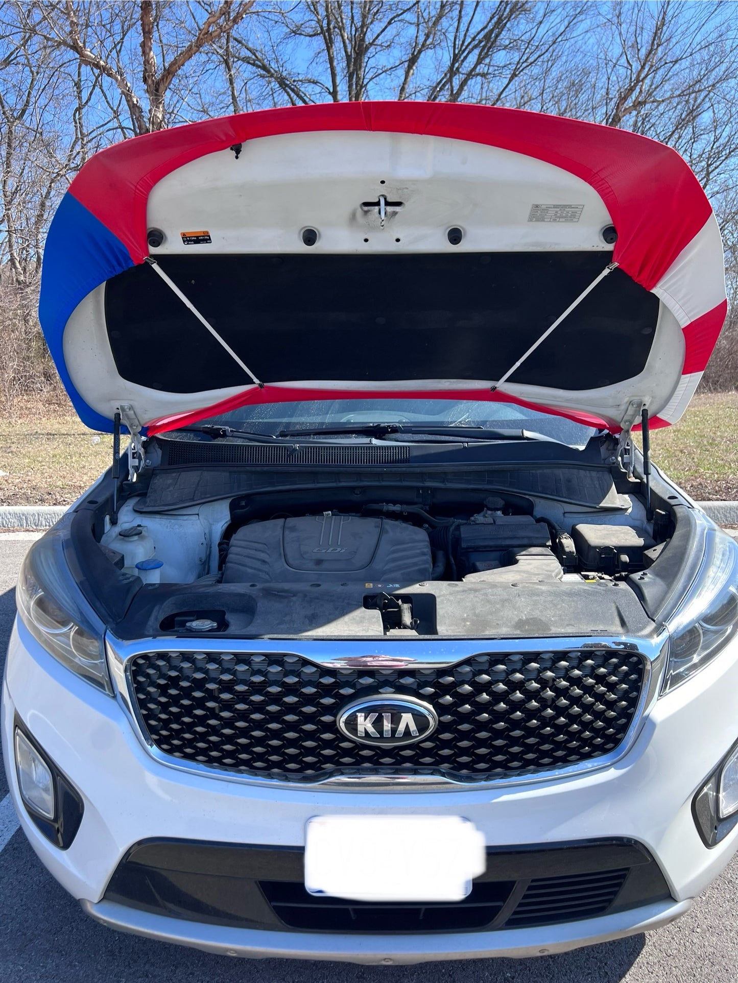Puerto Rico Flag Car Hood Cover