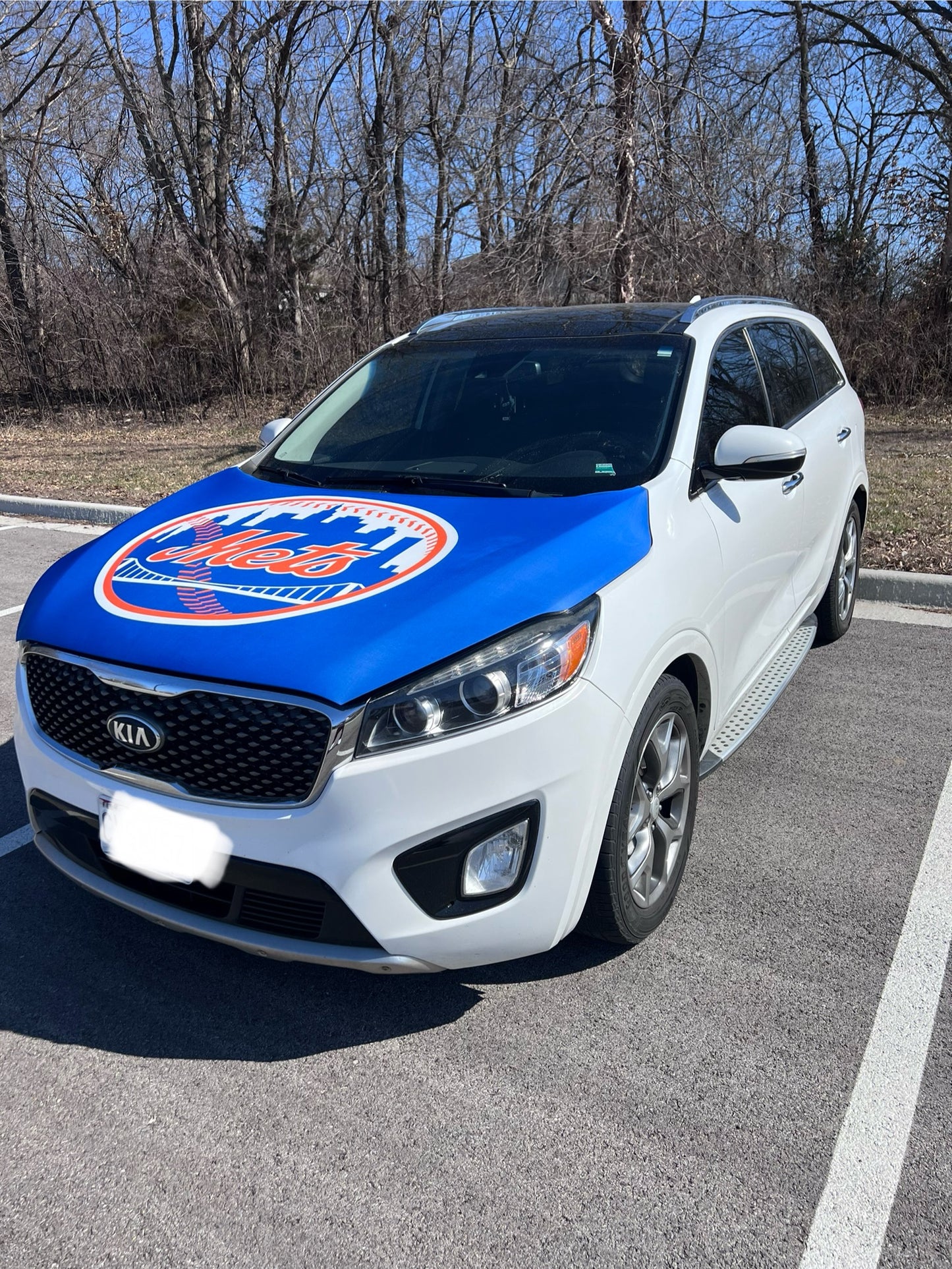 New York Mets Baseball Car Hood Cover