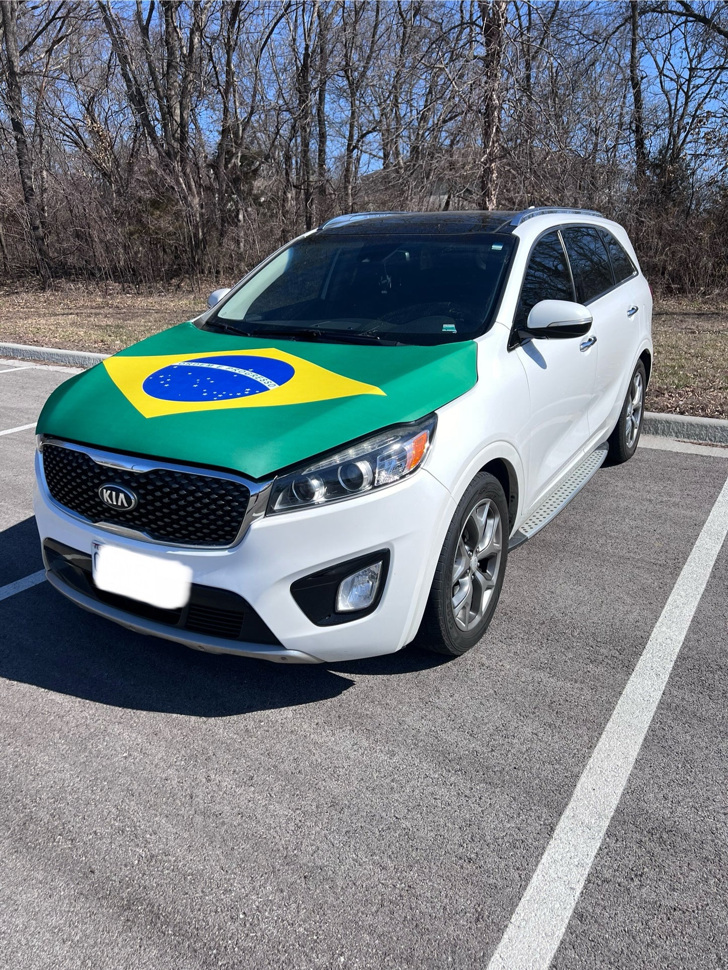 Brazil Flag Car Hood Cover