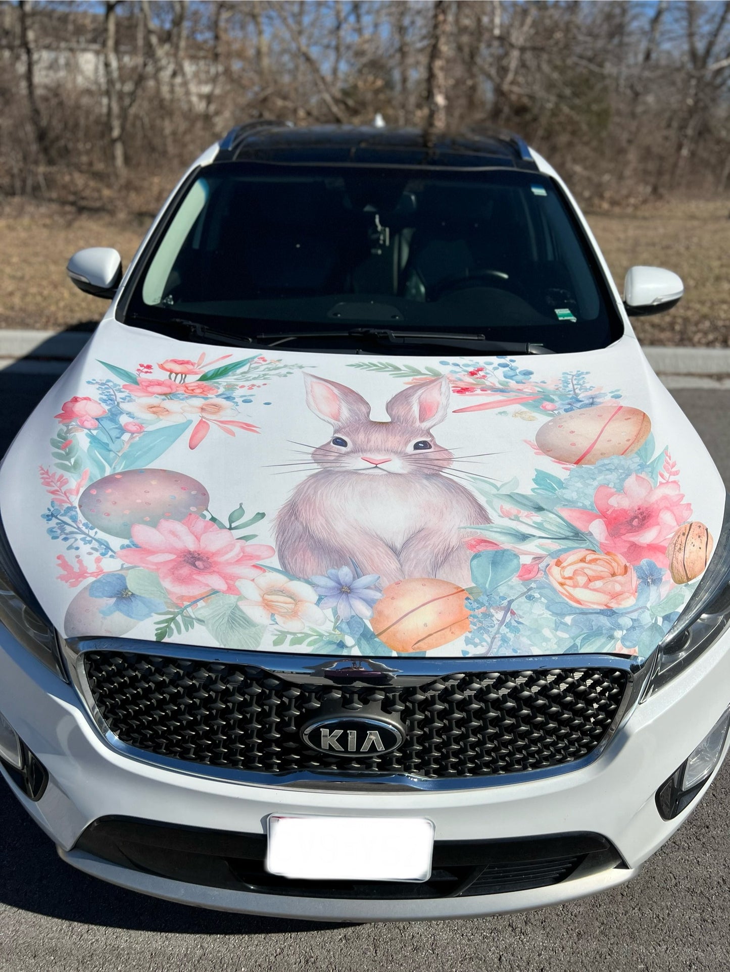 Floral Easter Bunny Car Hood Cover