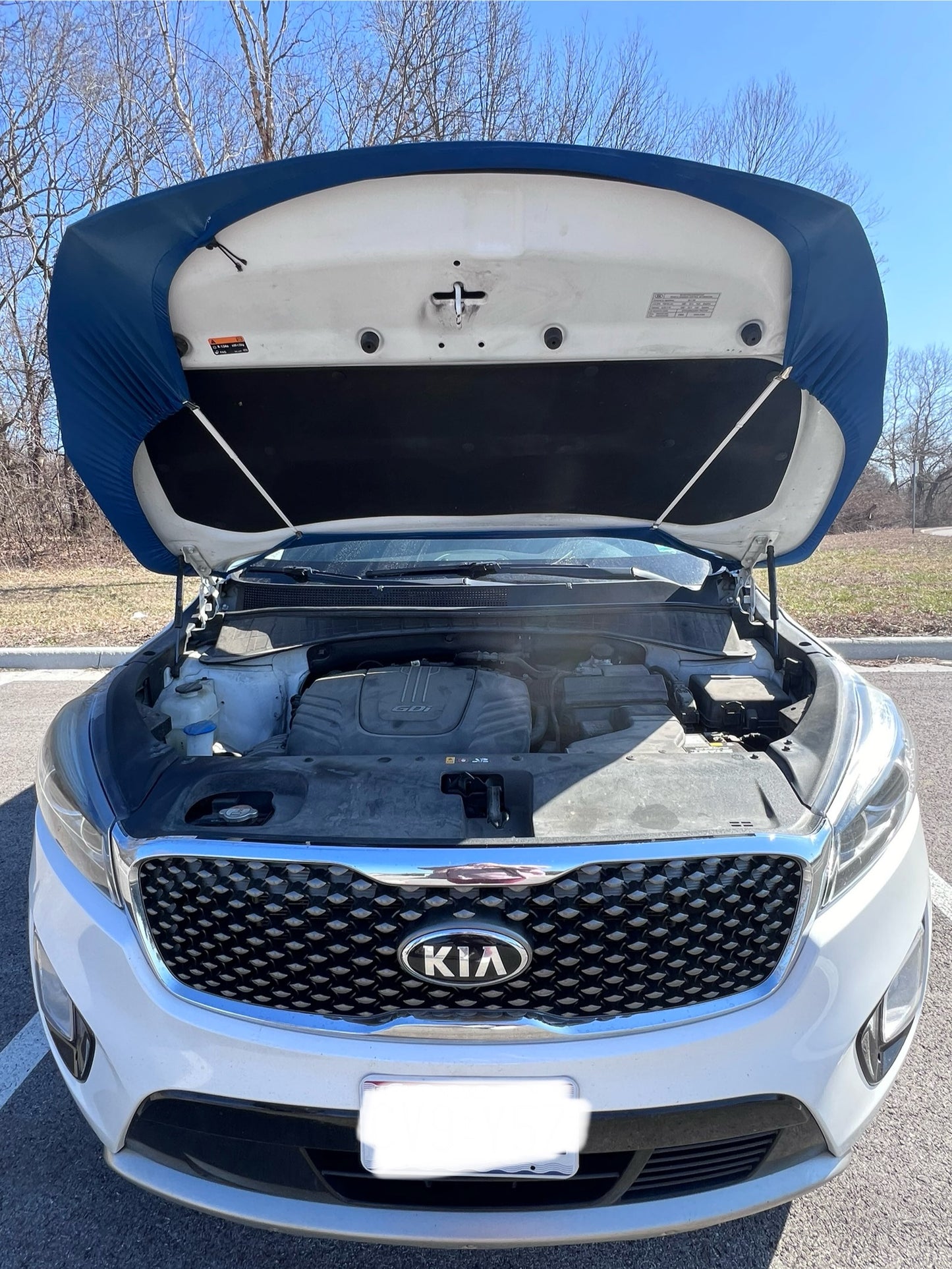 Black and White Checkered Car Hood Cover