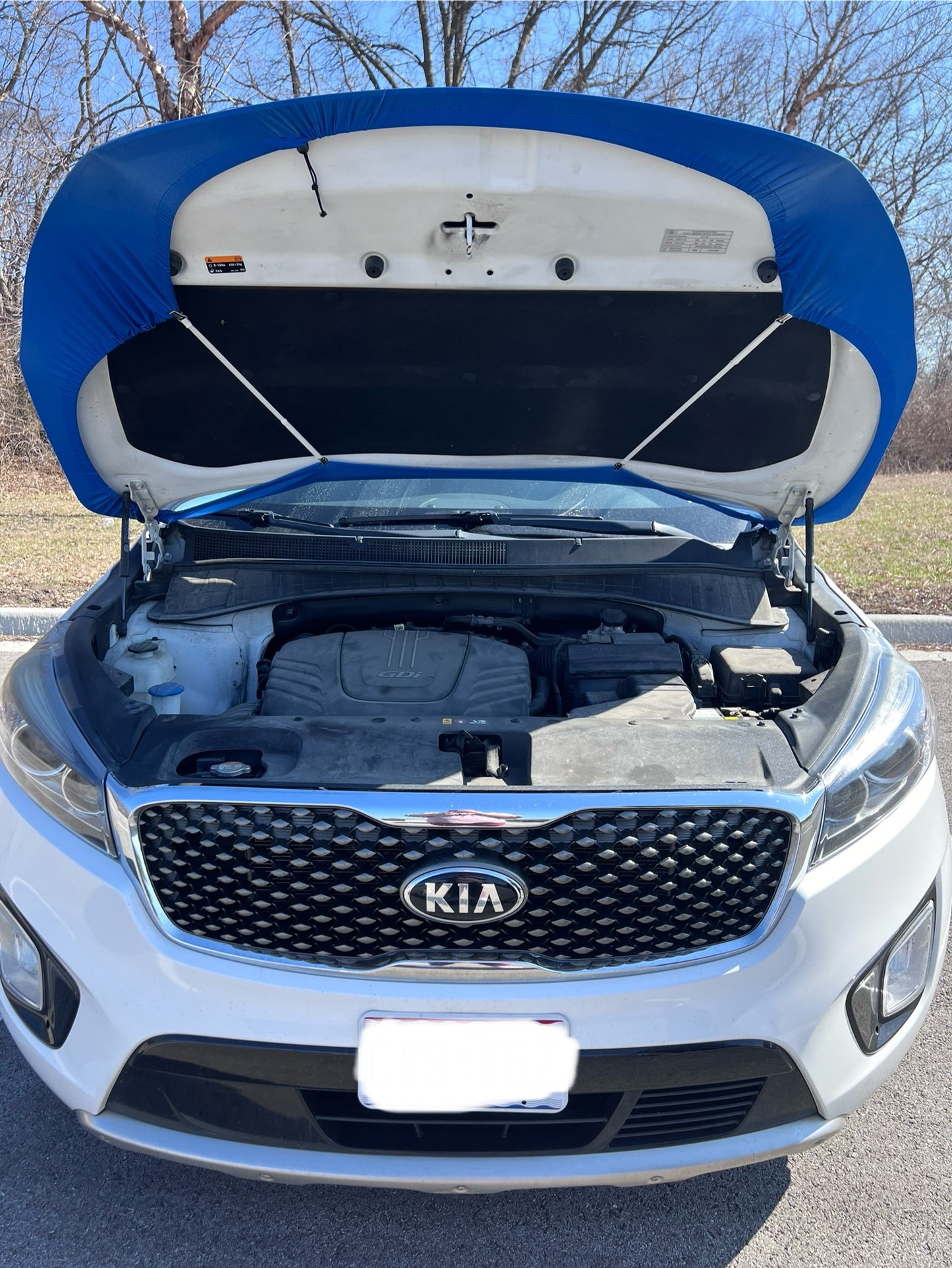 New York Mets Baseball Car Hood Cover