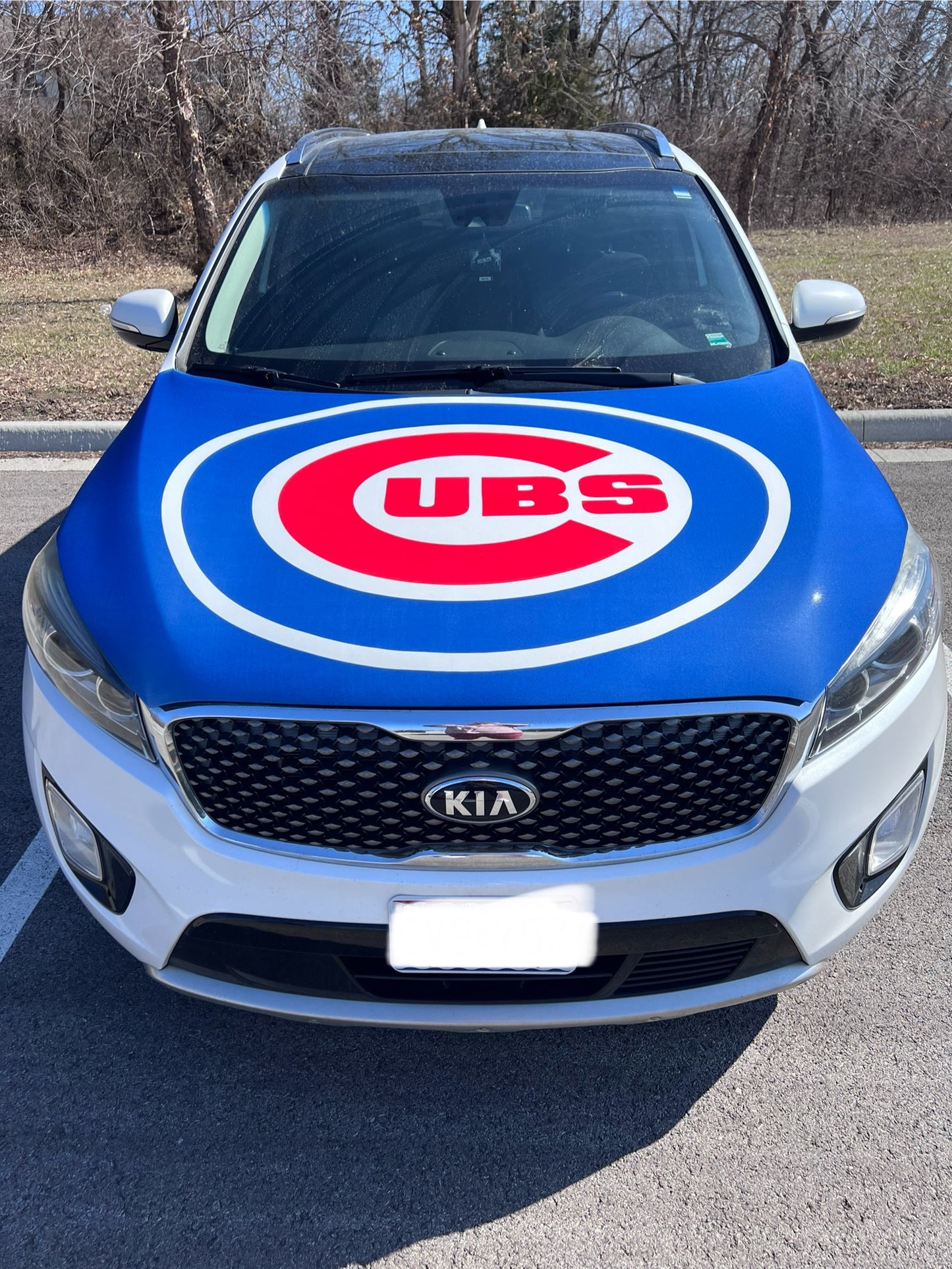 Chicago Cubs Baseball Car Hood Cover