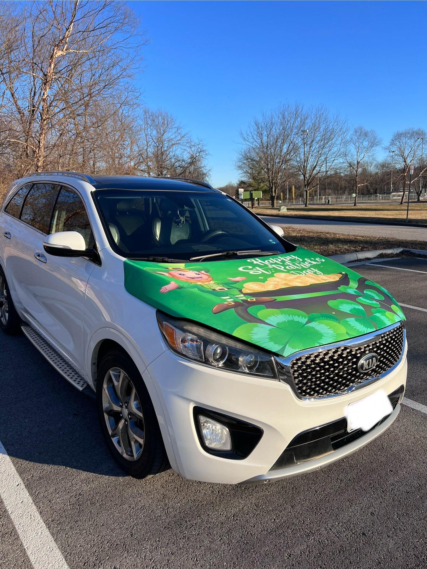 Happy St. Patrick’s Day Car Hood Cover