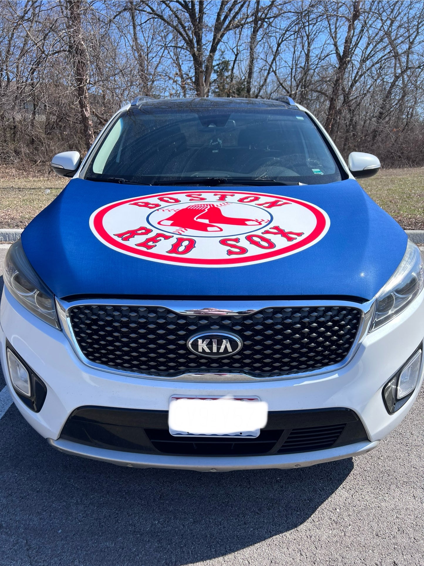 Boston Red Sox Car Hood Cover