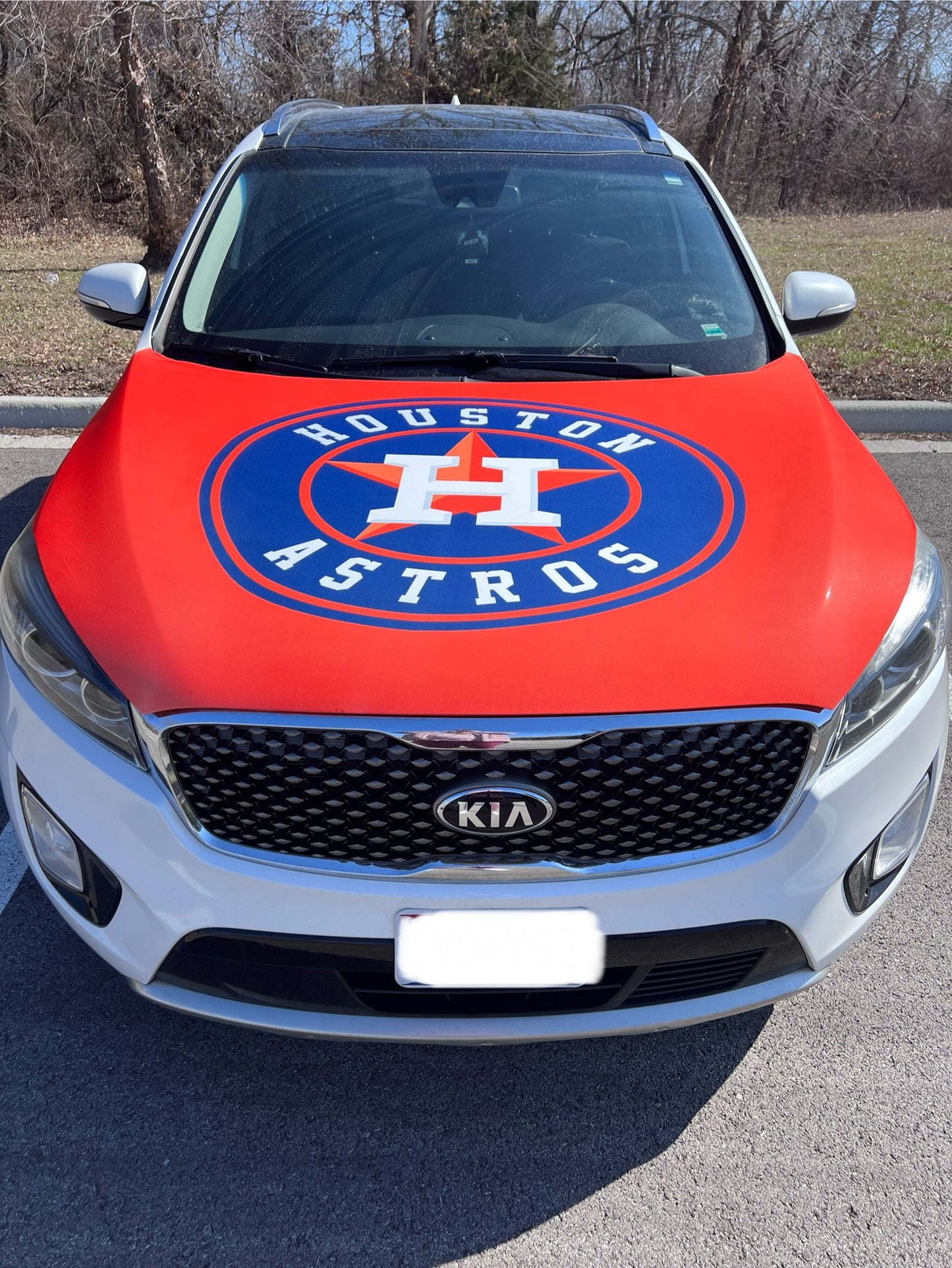 Houston Astros Baseball Car Hood Cover