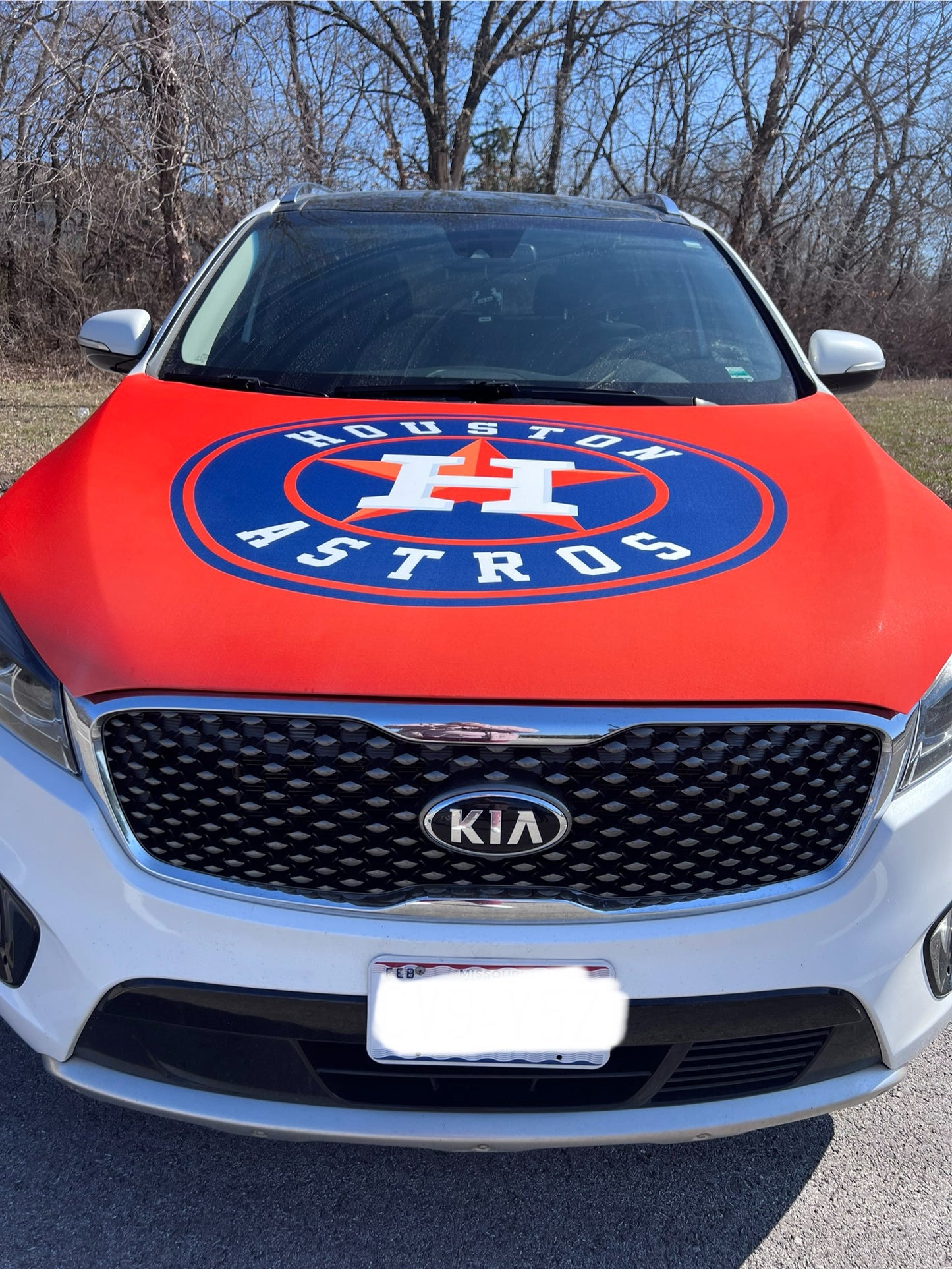Houston Astros Baseball Car Hood Cover