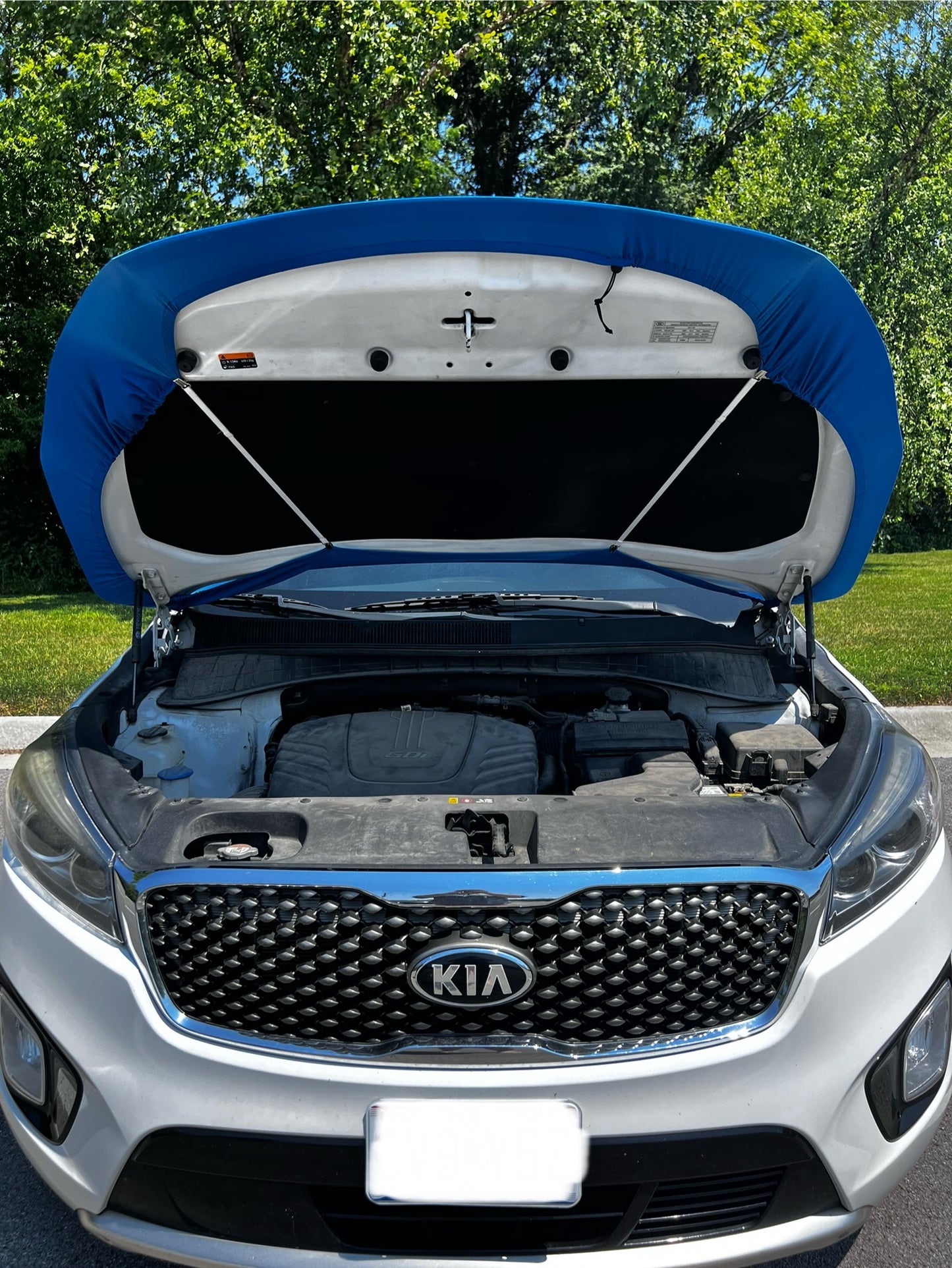 Detroit Lions Car Hood Cover