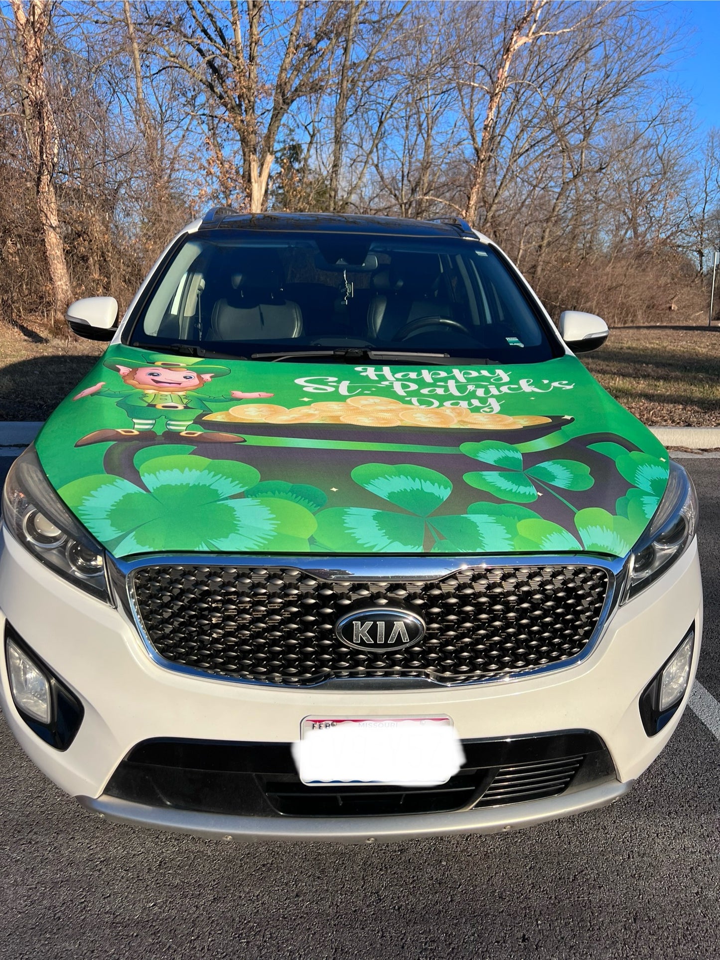 Happy St. Patrick’s Day Car Hood Cover