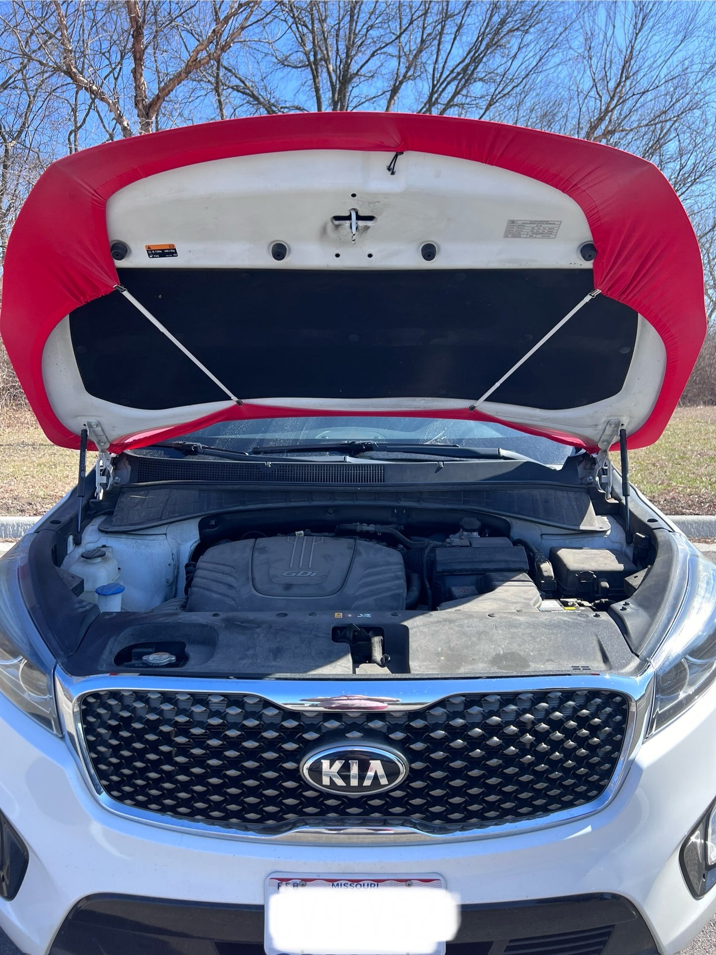 Chiefs Super Bowl Champions Car Hood Cover
