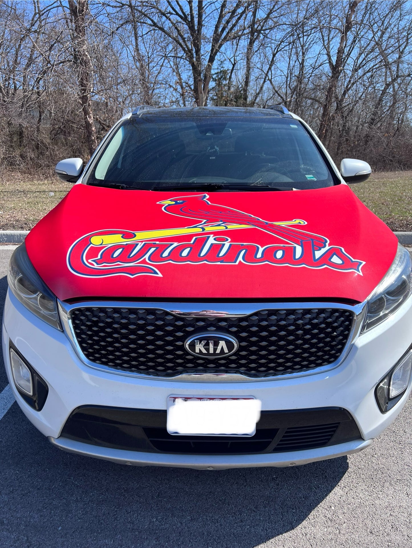 St. Louis Cardinals Baseball Car Hood Cover