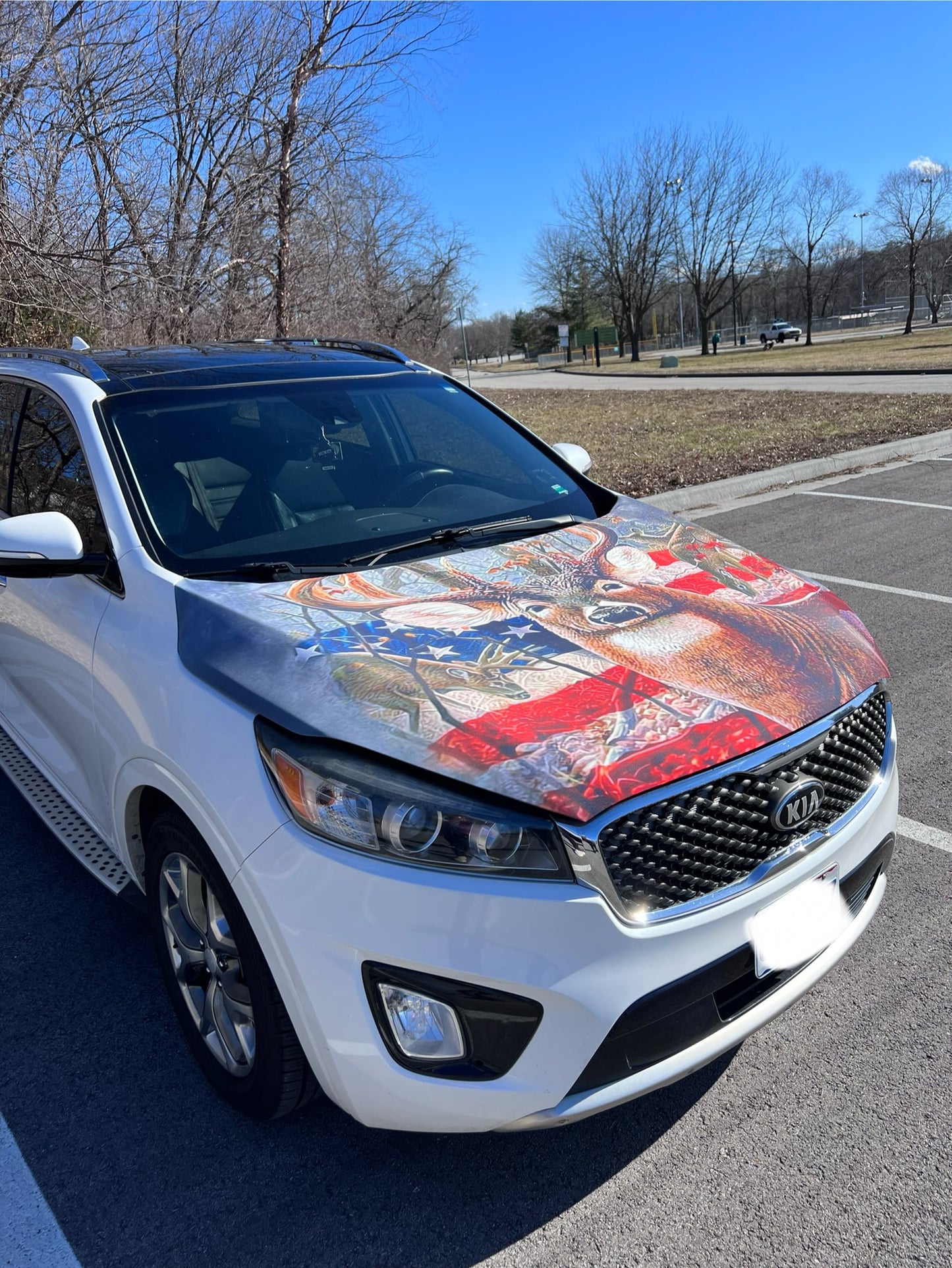 Buck Deer American Flag Car Hood Cover