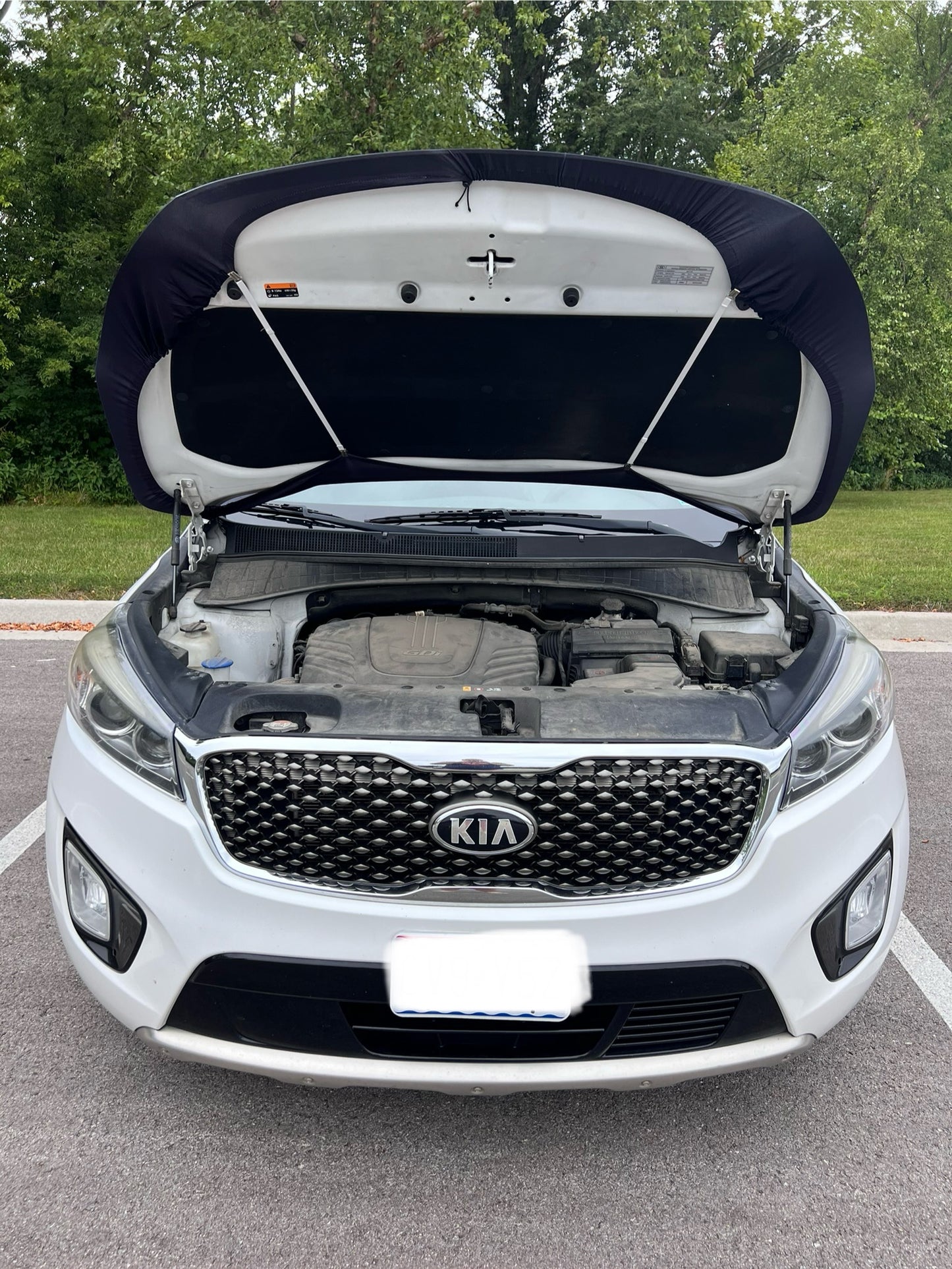 Atlanta Falcons Car Hood Cover