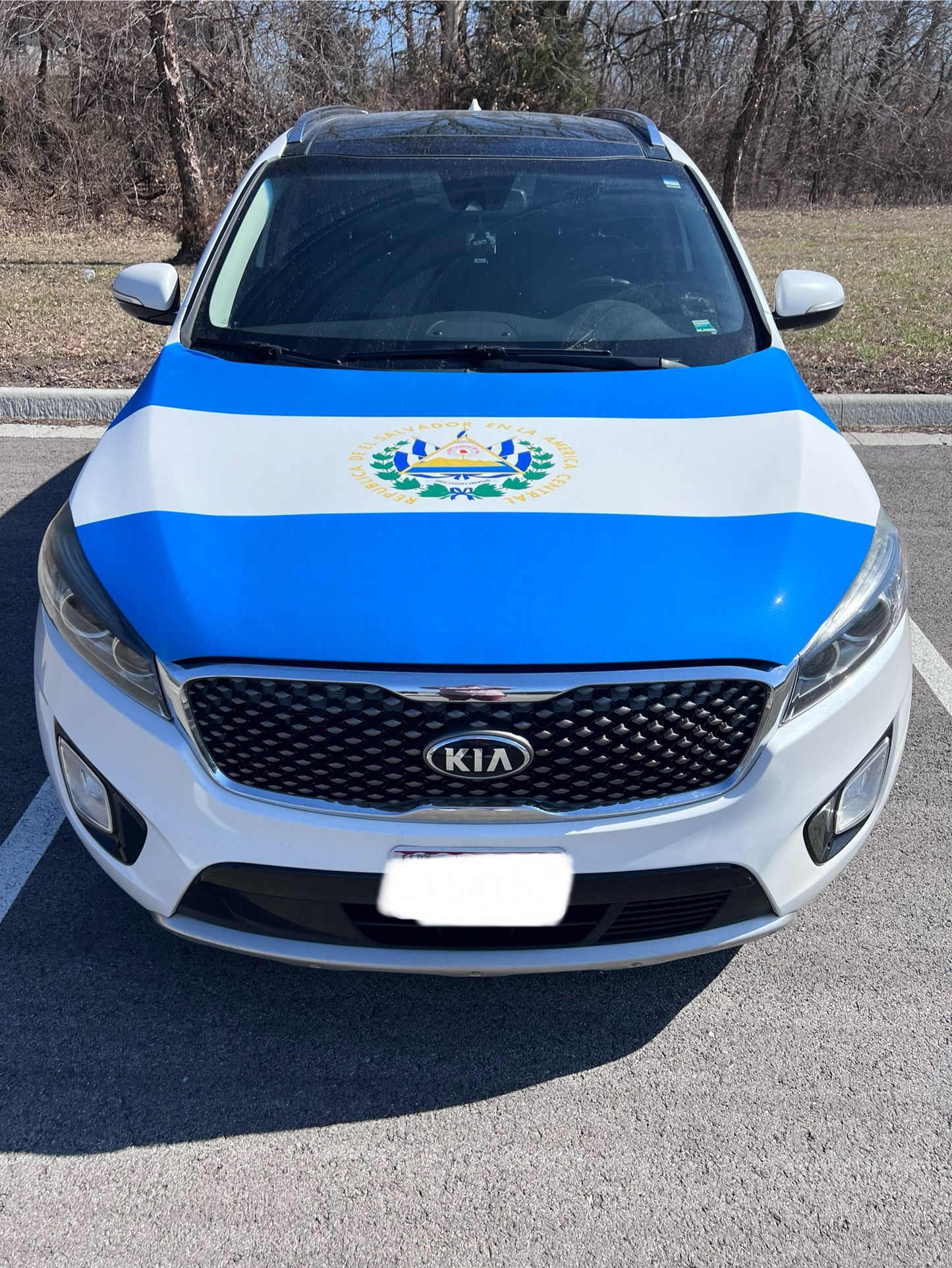 El Salvador Flag Car Hood Cover