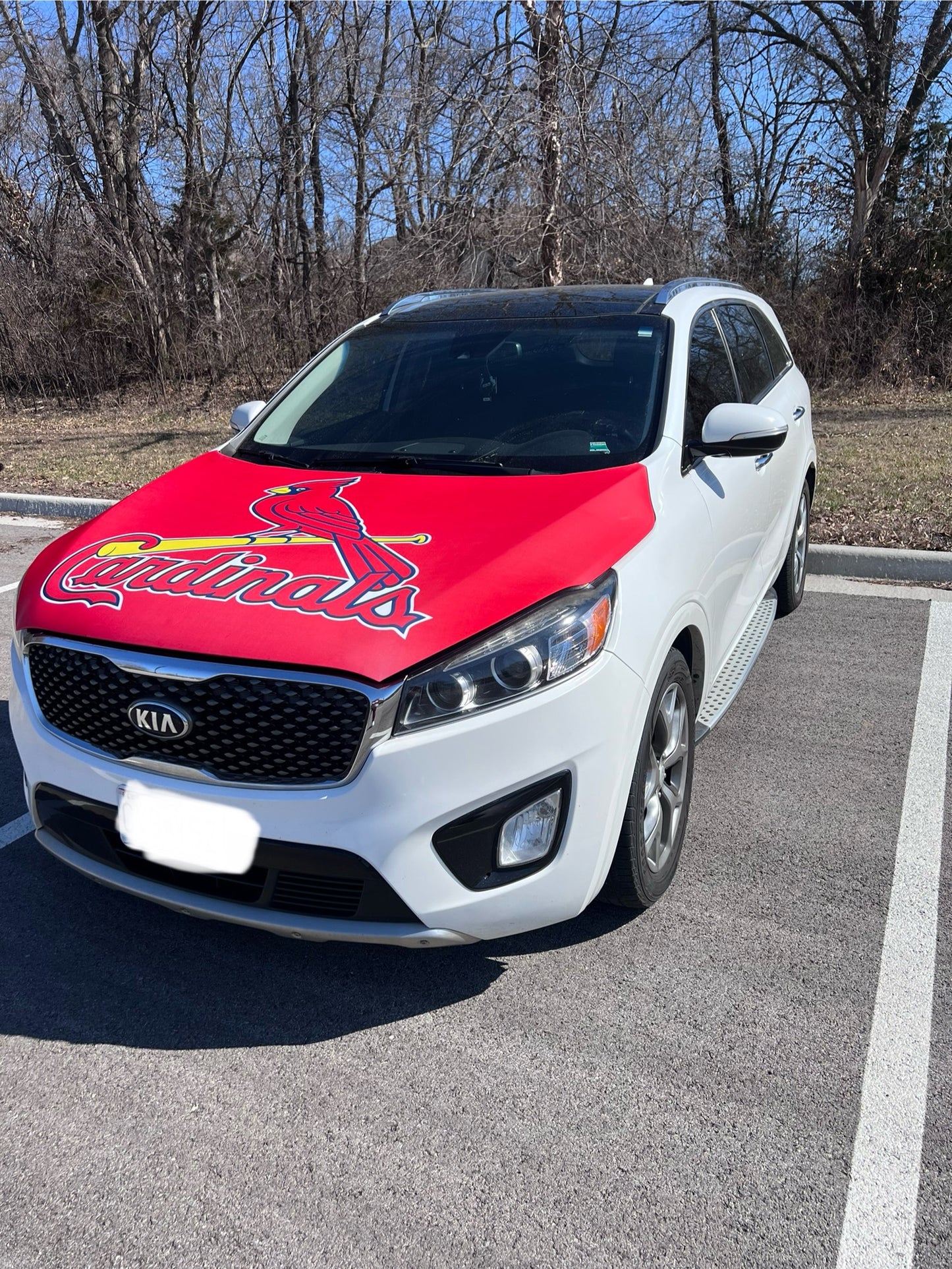 St. Louis Cardinals Baseball Car Hood Cover