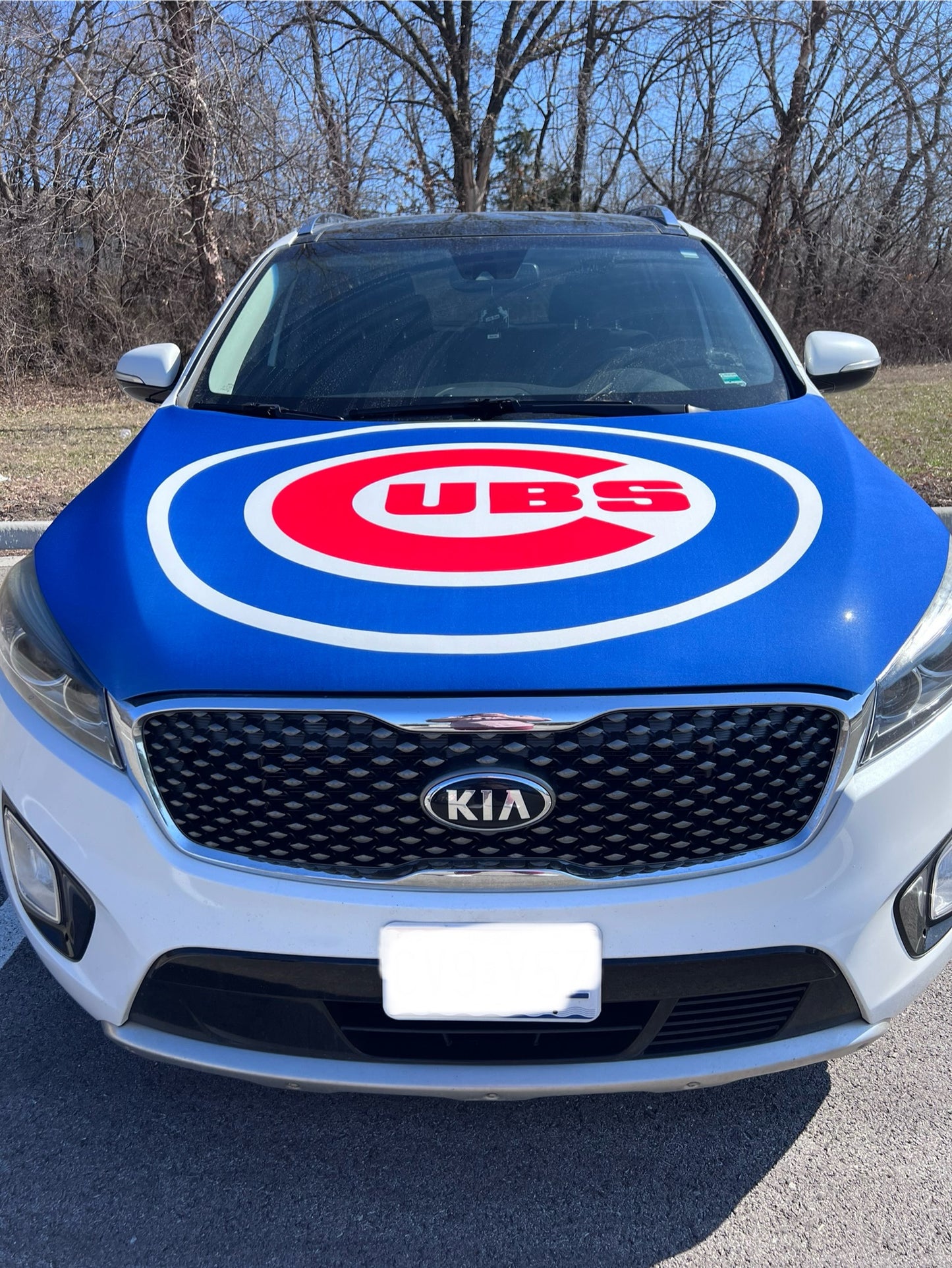Chicago Cubs Baseball Car Hood Cover