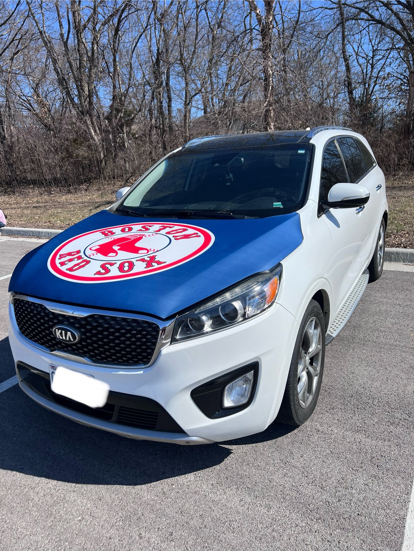Boston Red Sox Car Hood Cover