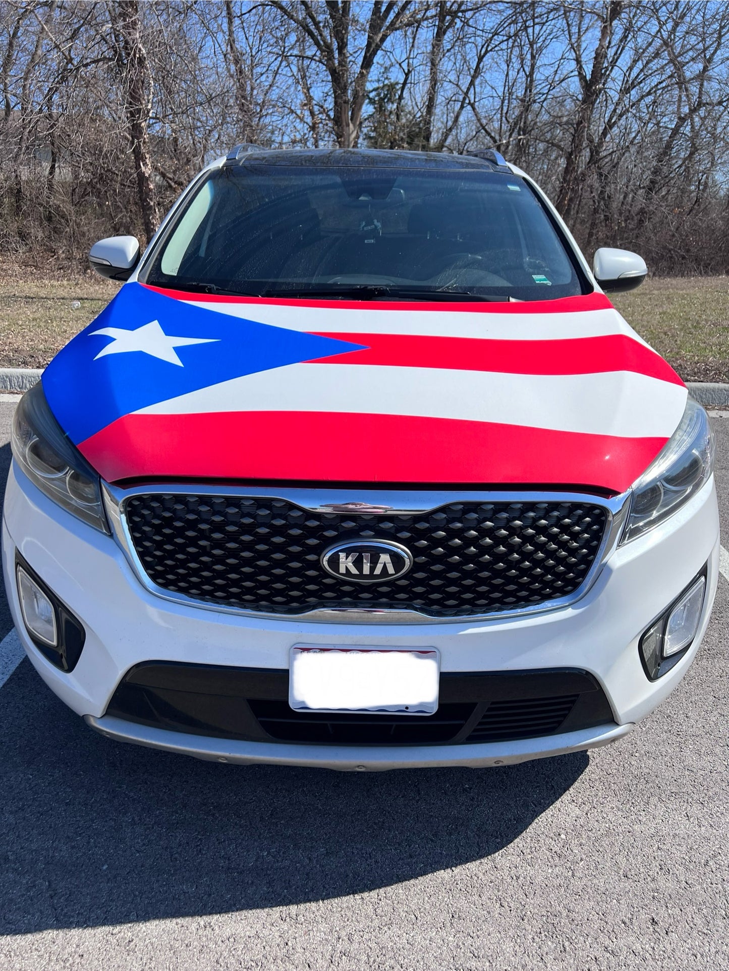 Puerto Rico Flag Car Hood Cover