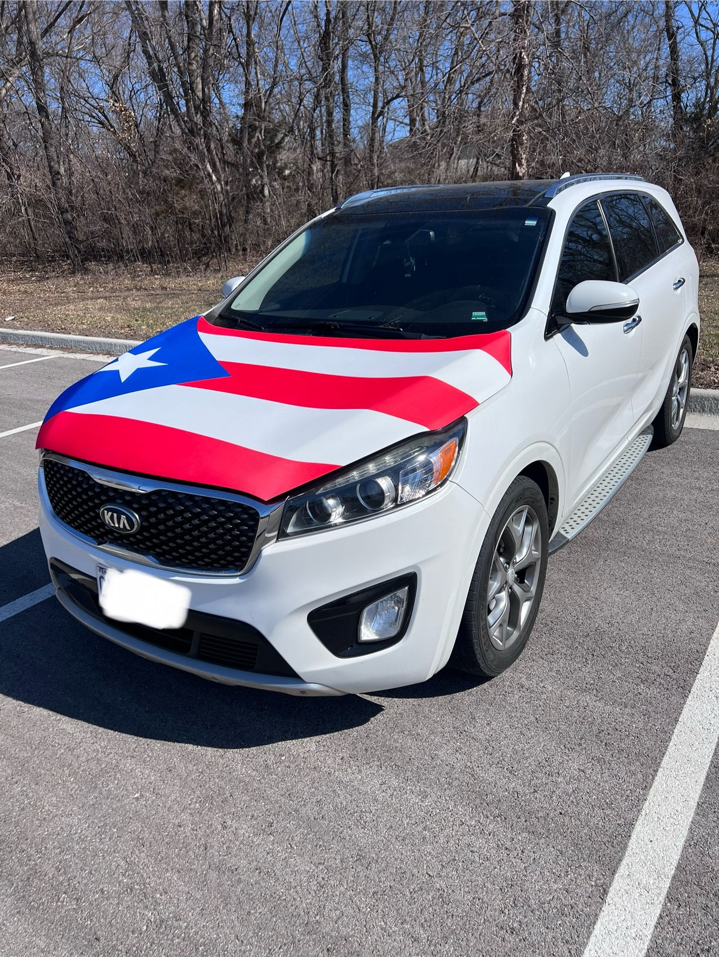 Puerto Rico Flag Car Hood Cover