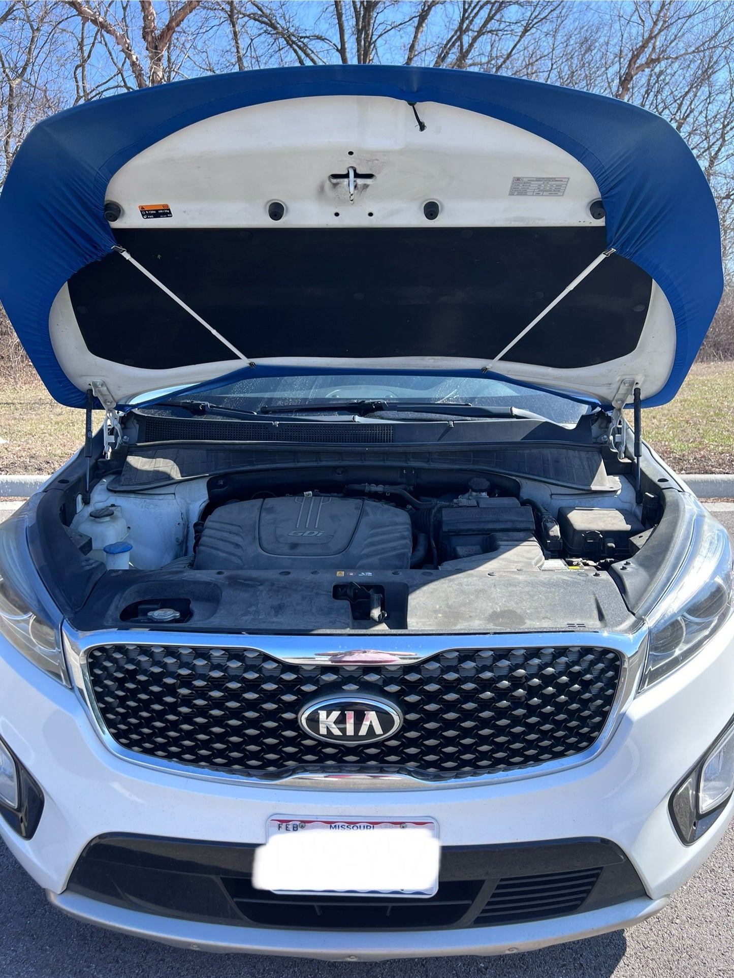 Chicago Cubs Baseball Car Hood Cover