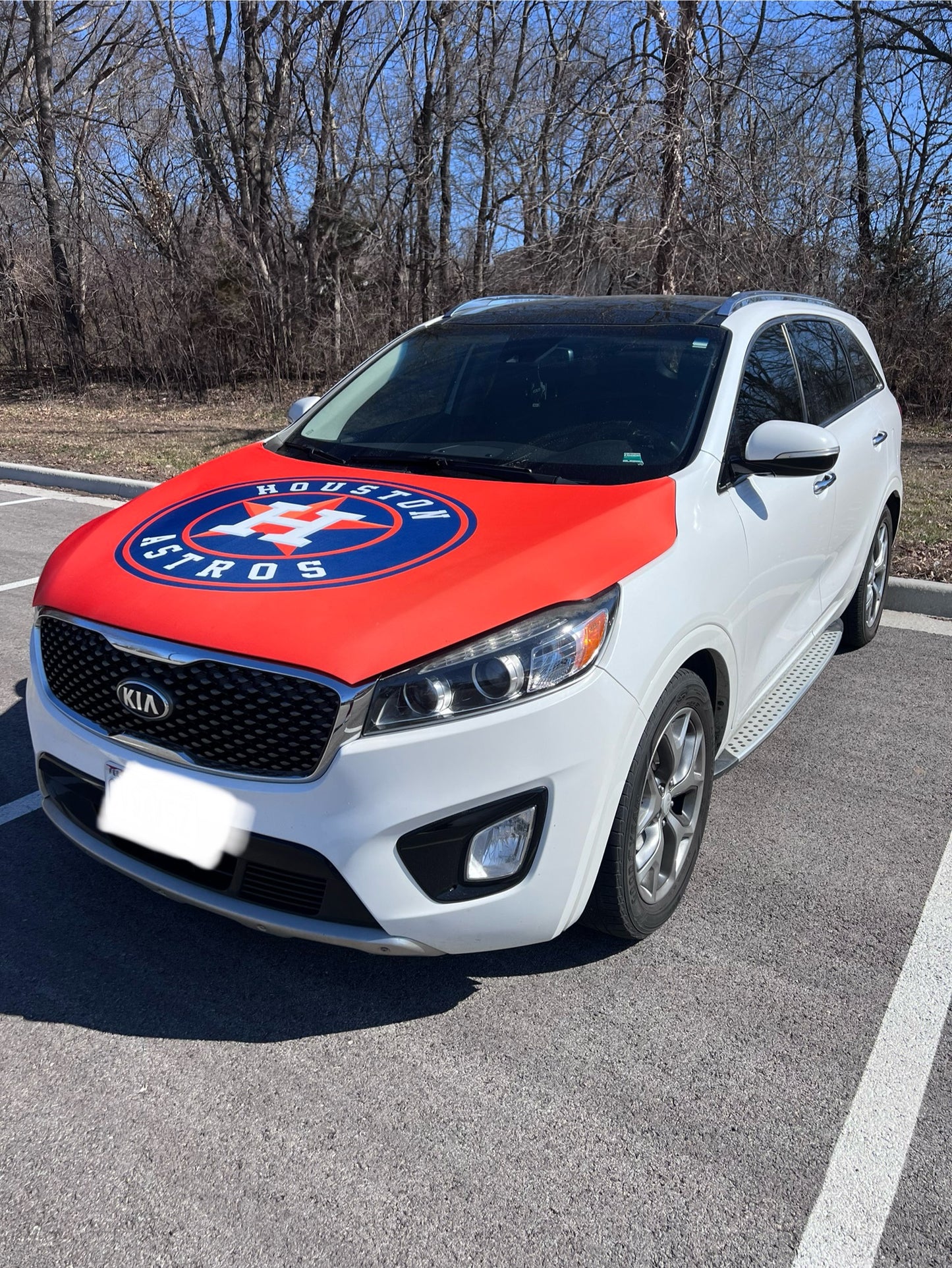 Houston Astros Baseball Car Hood Cover