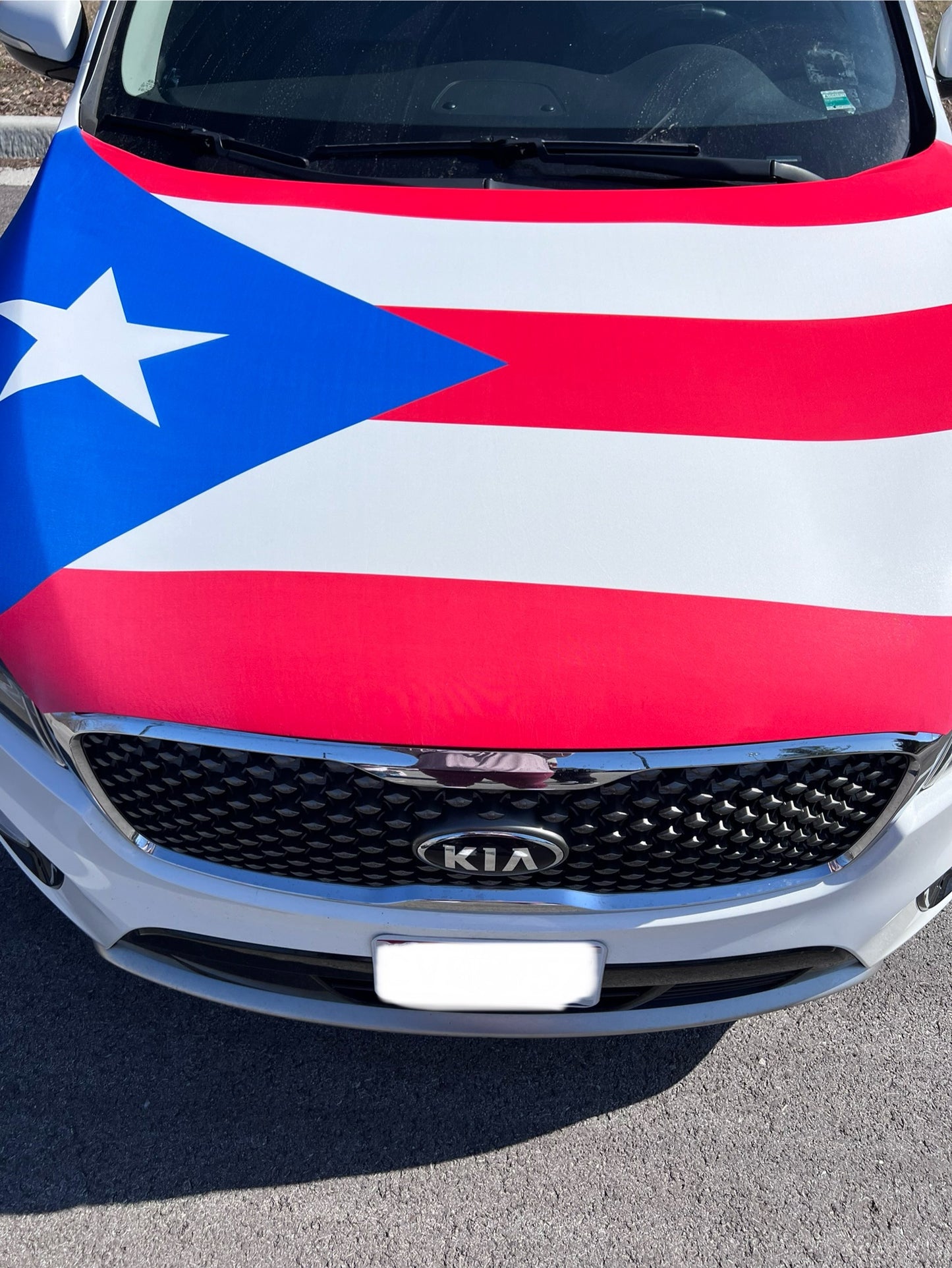 Puerto Rico Flag Car Hood Cover