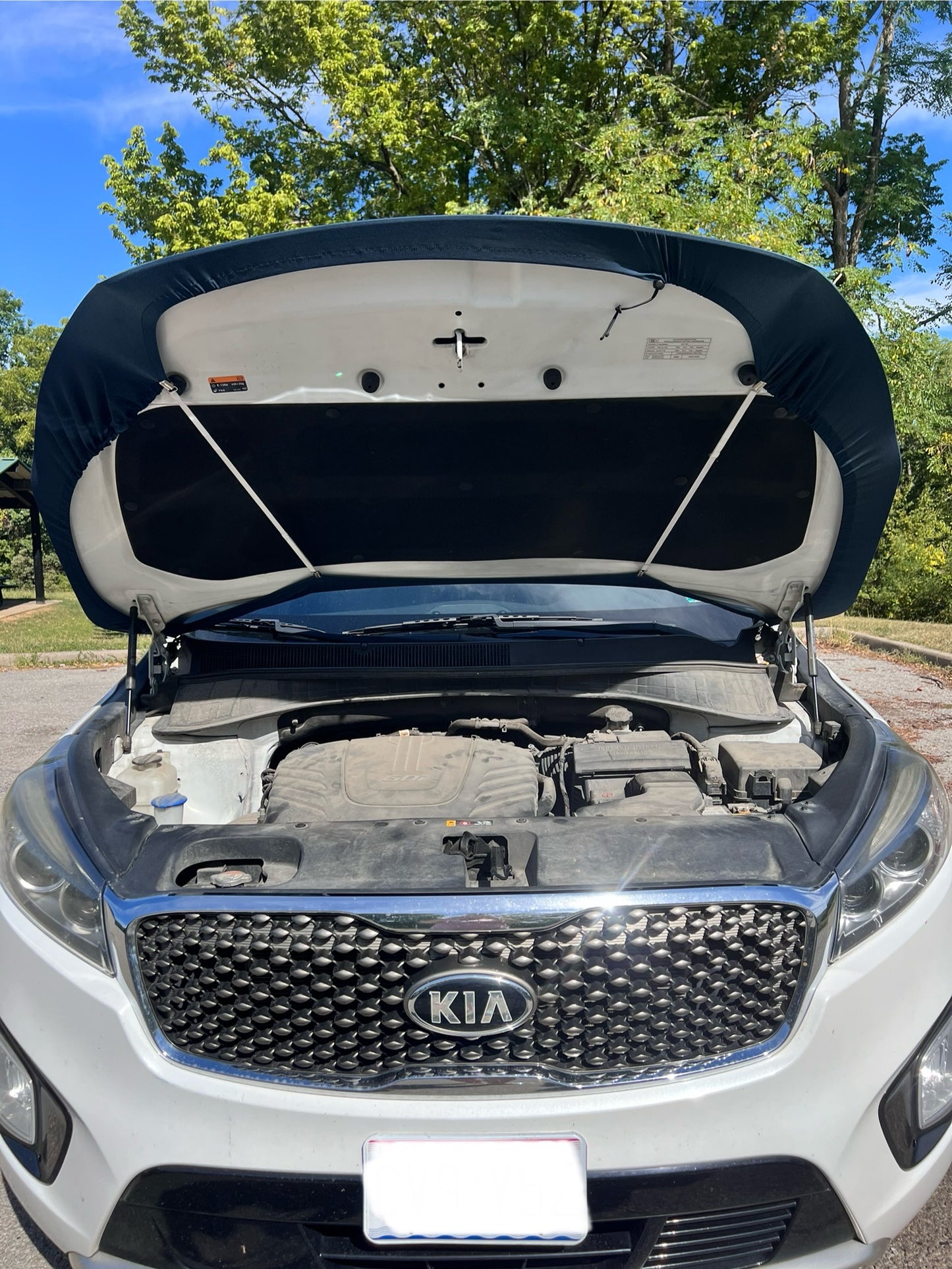 Houston Texans Car Hood Cover