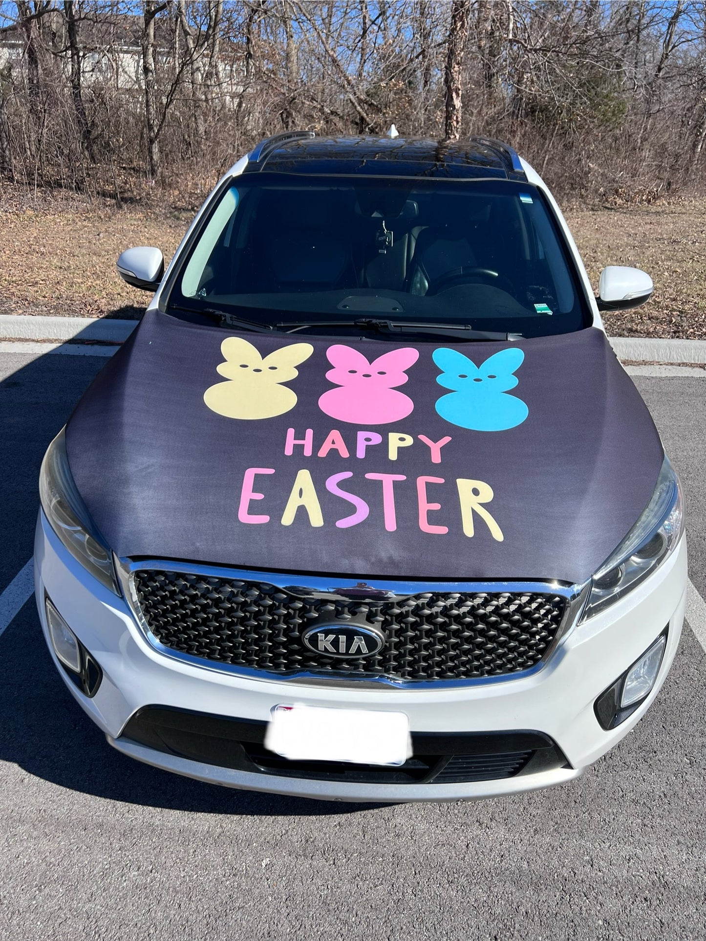 Happy Easter Peeps Car Hood Cover