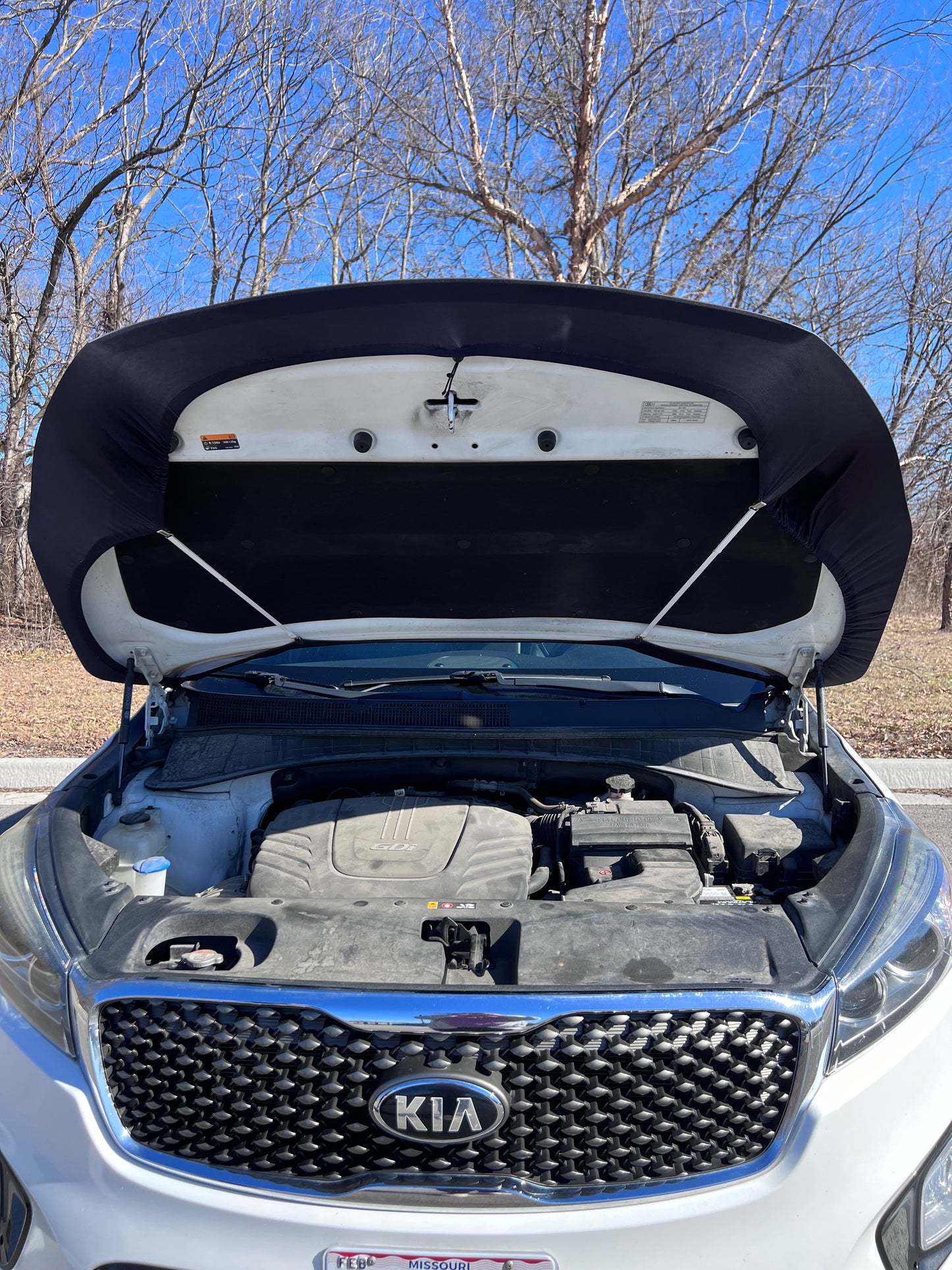 Camo Buck Car Hood Cover