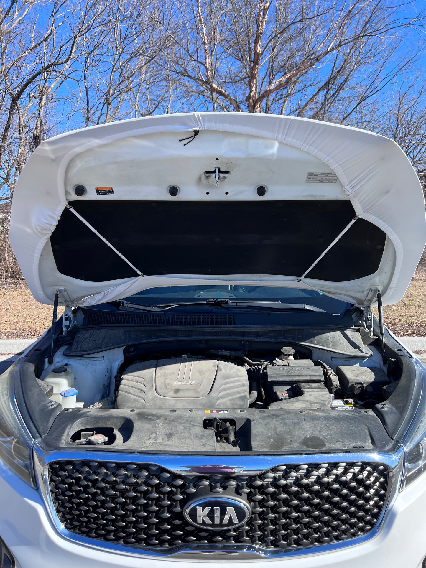 Floral Easter Bunny Car Hood Cover