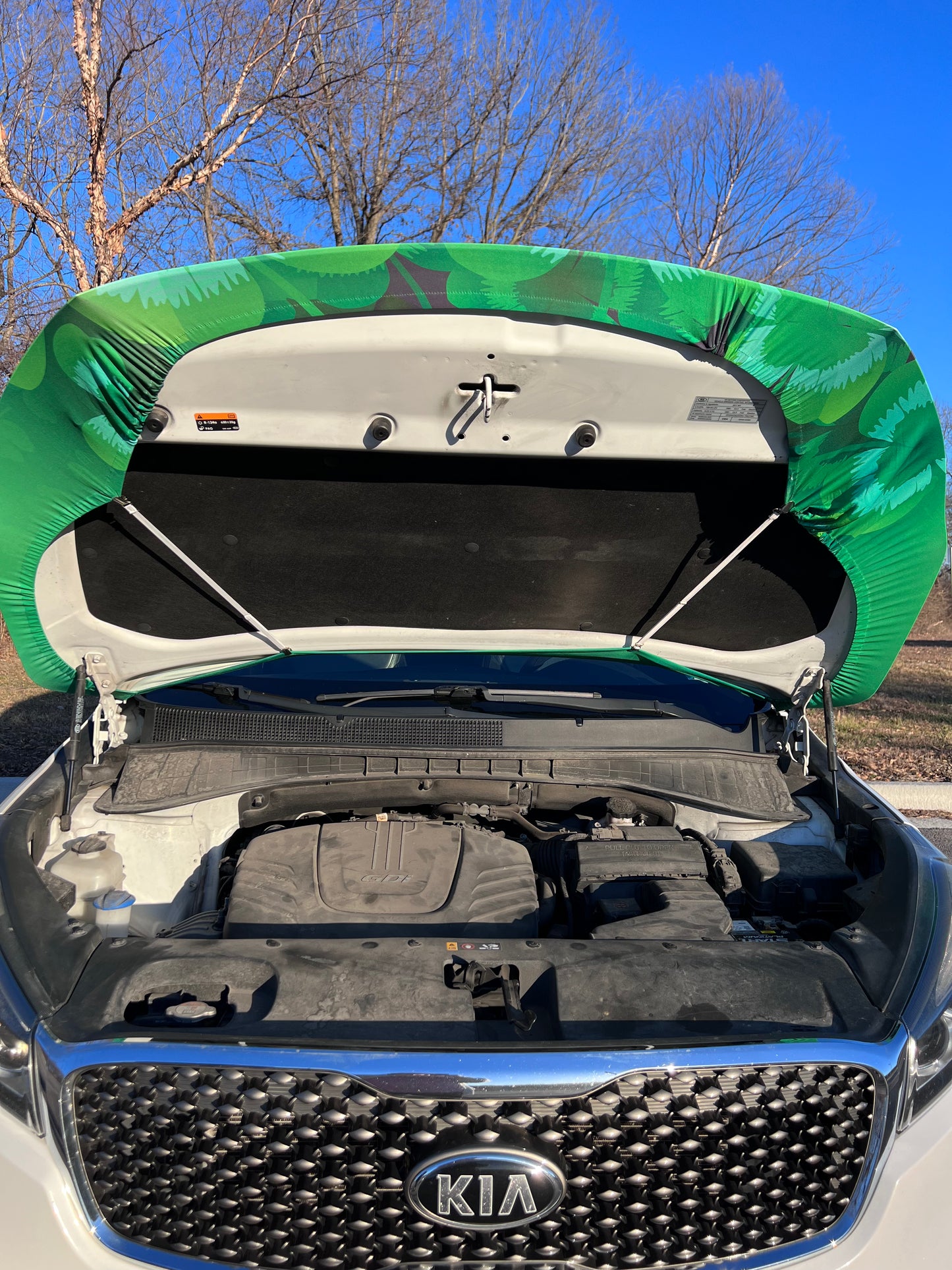 Happy St. Patrick’s Day Car Hood Cover