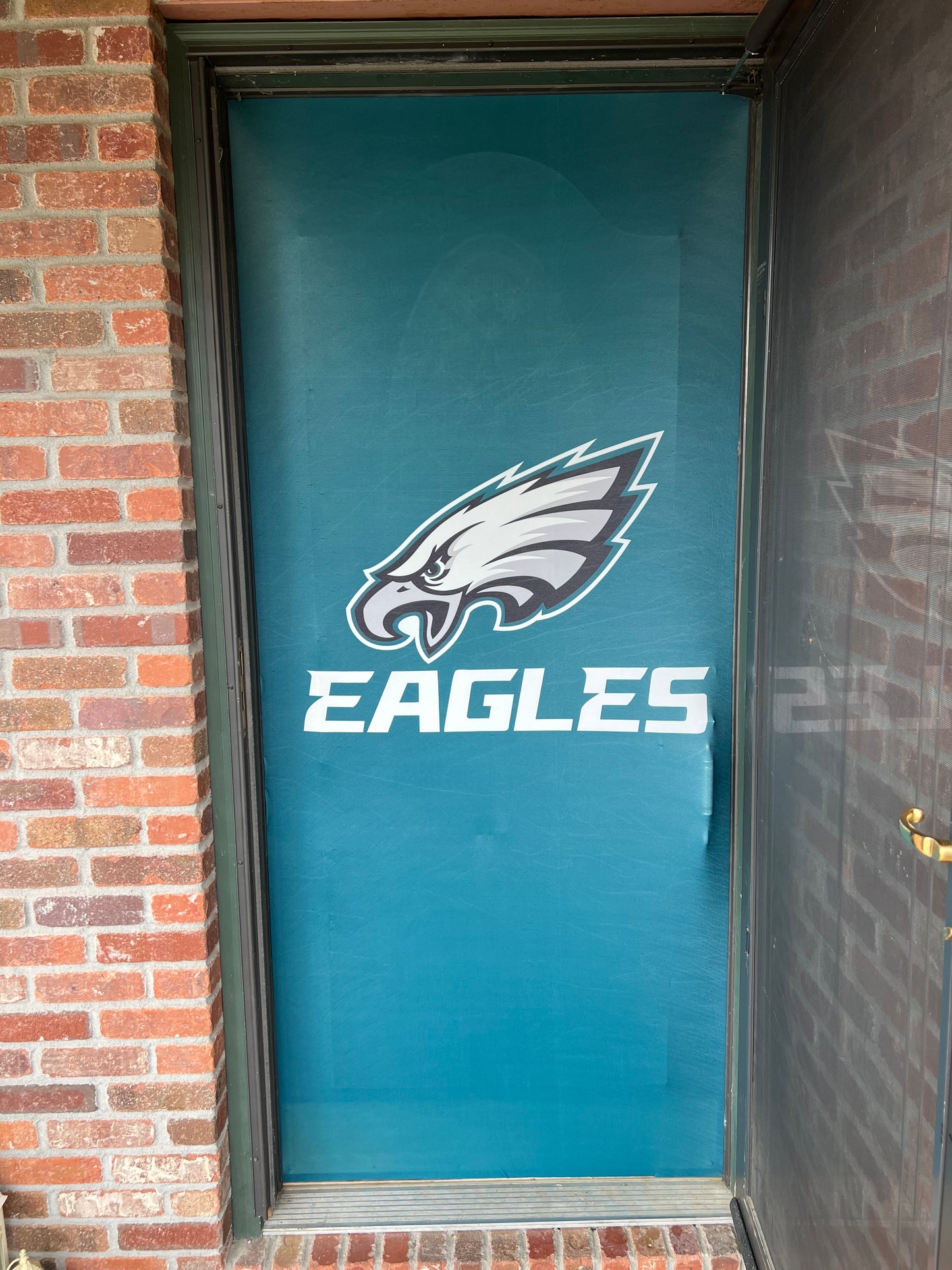 Philadelphia Eagles Door Cover