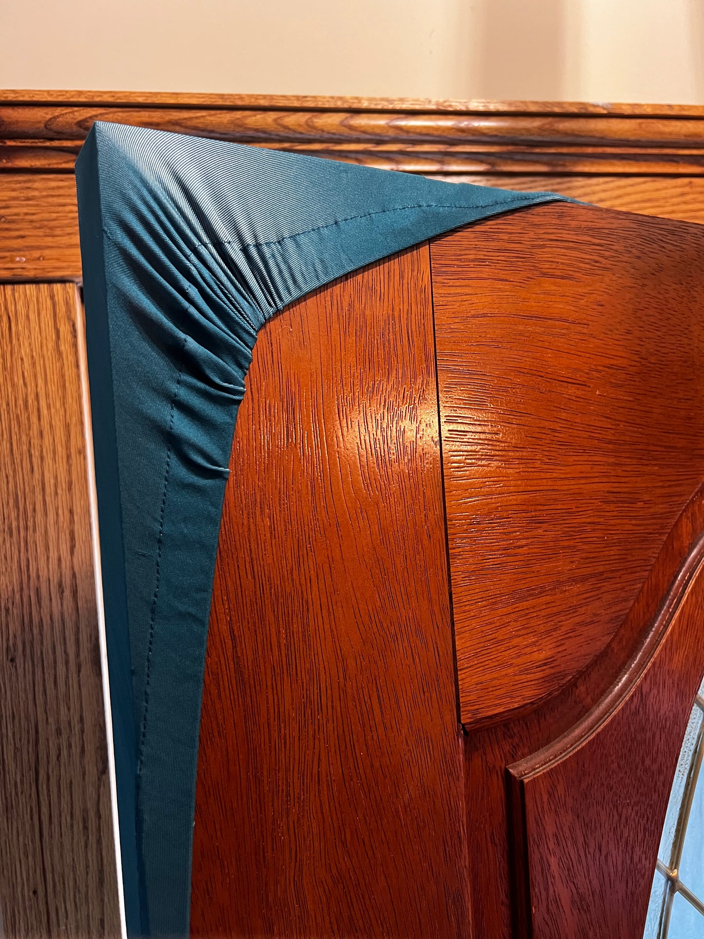 Philadelphia Eagles Door Cover