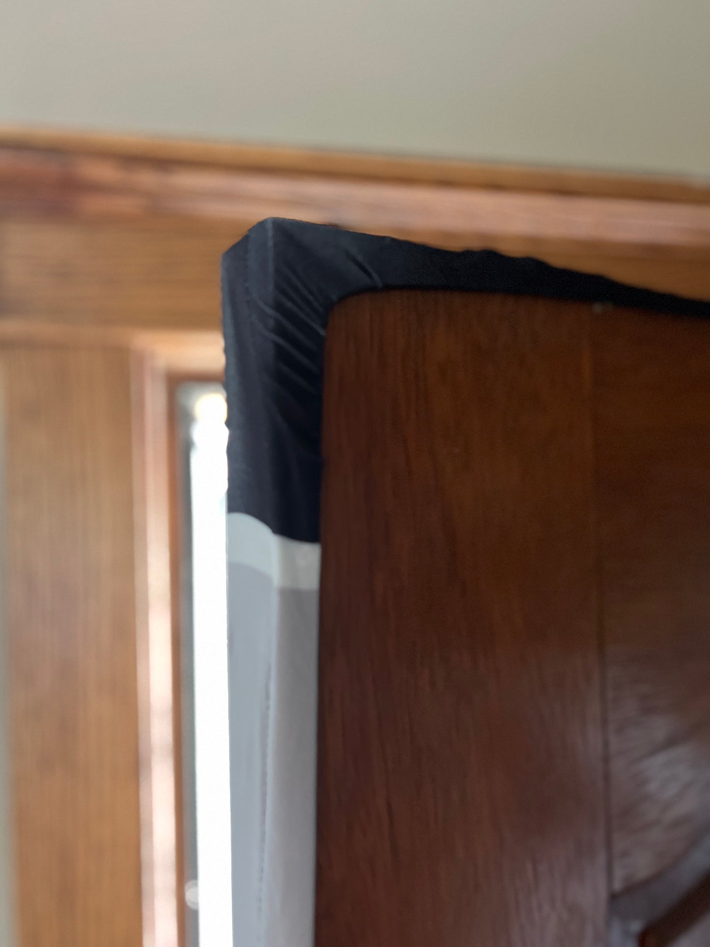 Las Vegas Raiders Door Cover