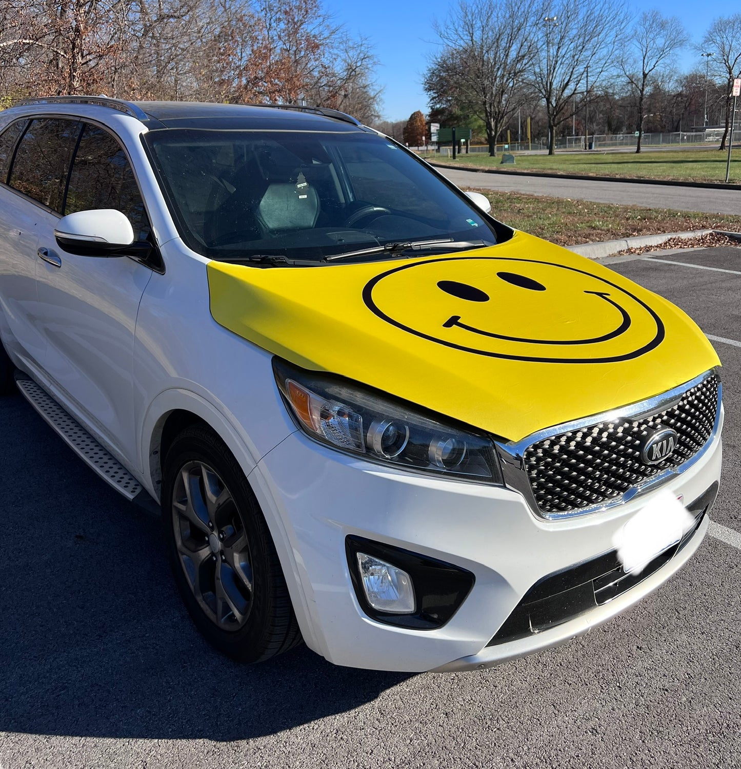 Smiley Face Car Hood Cover