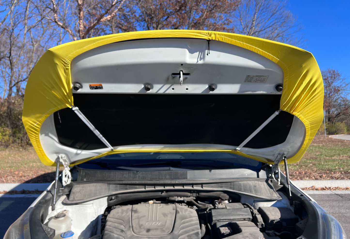 Smiley Face Car Hood Cover