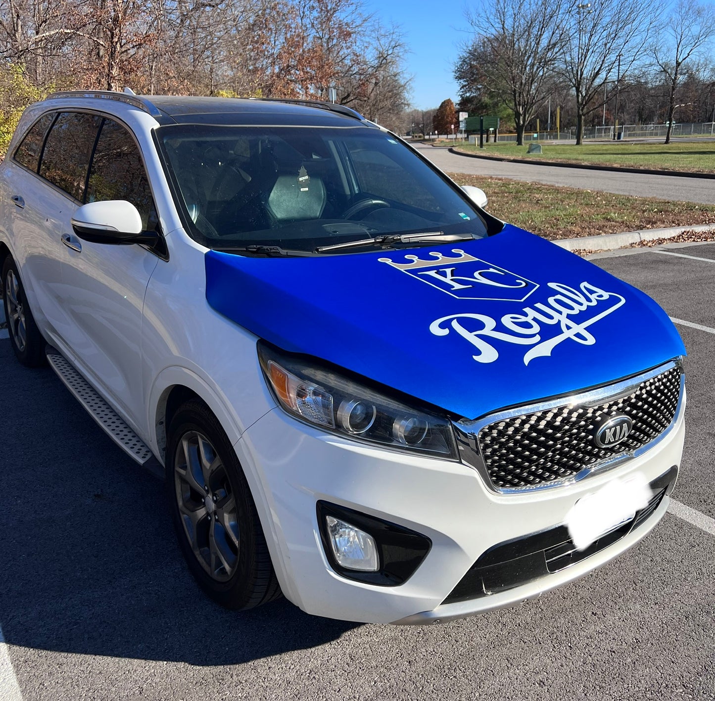 KC Royals Car Hood Cover