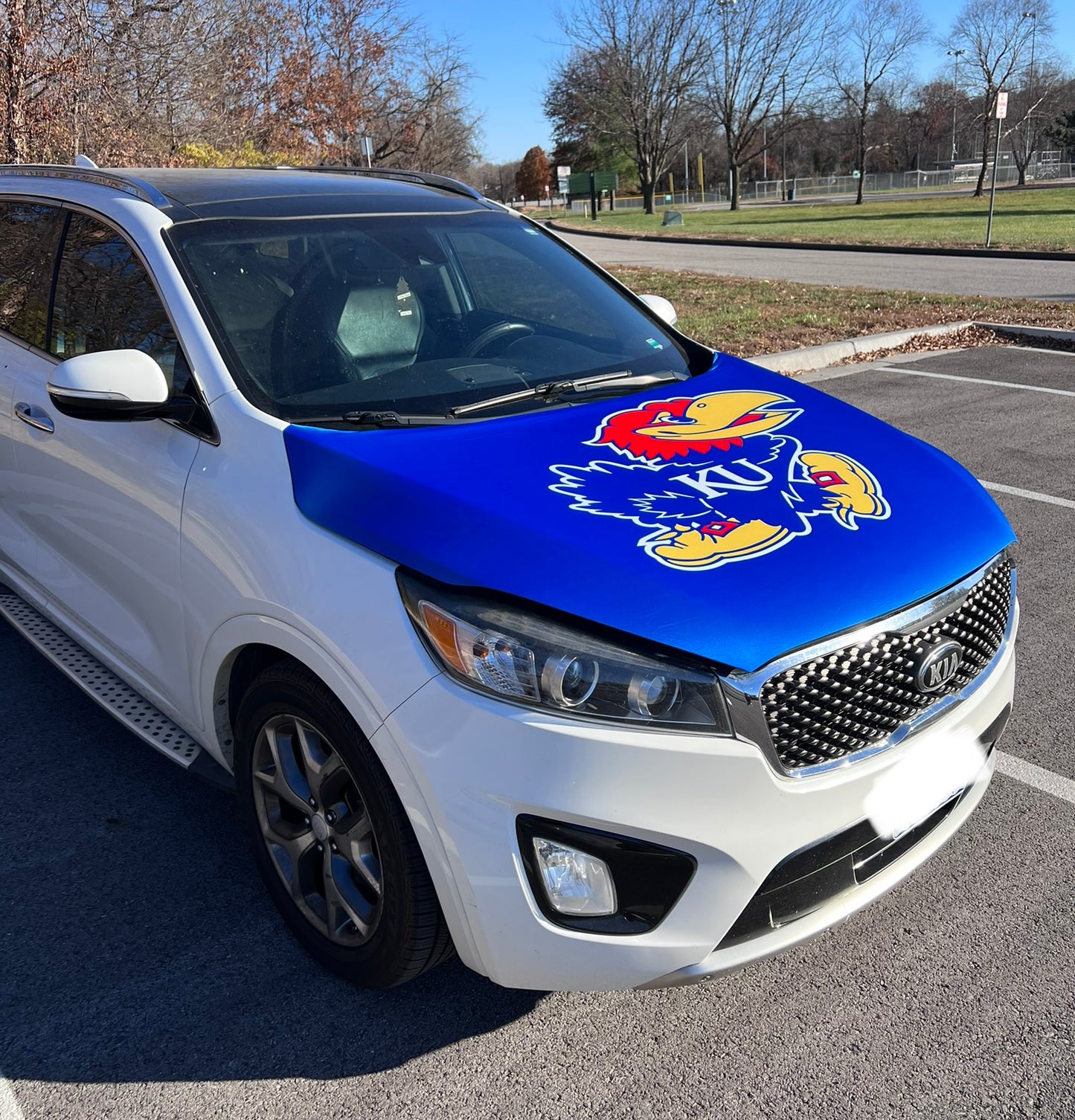KU Jayhawks Car Hood Cover