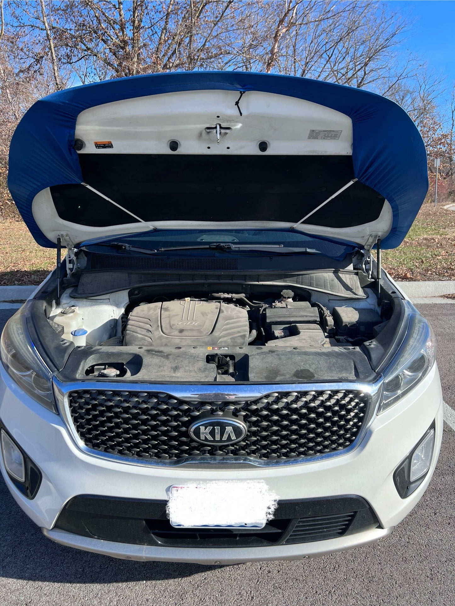 Sporting KC Car Hood Cover