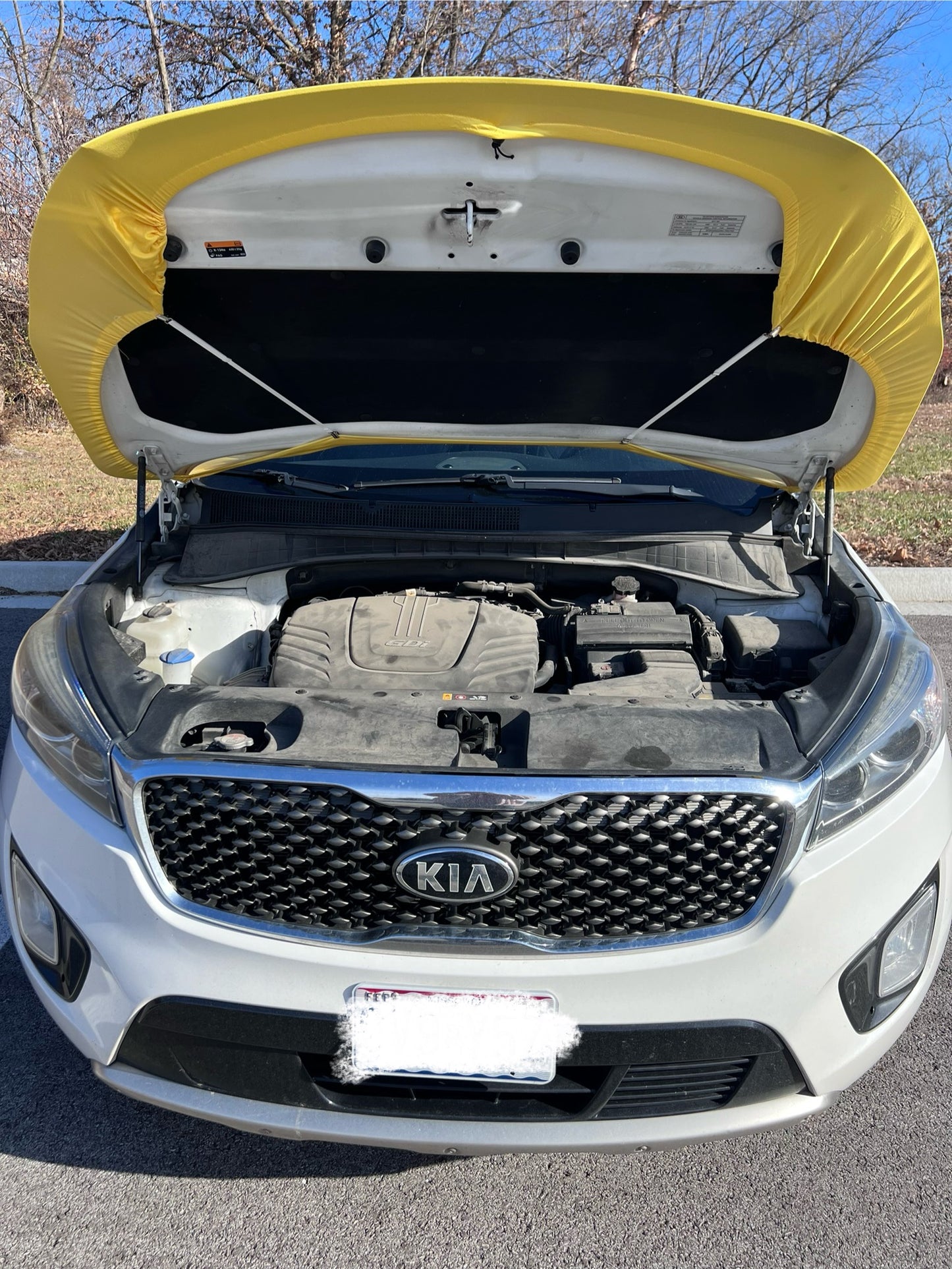 Mizzou College Car Hood Cover