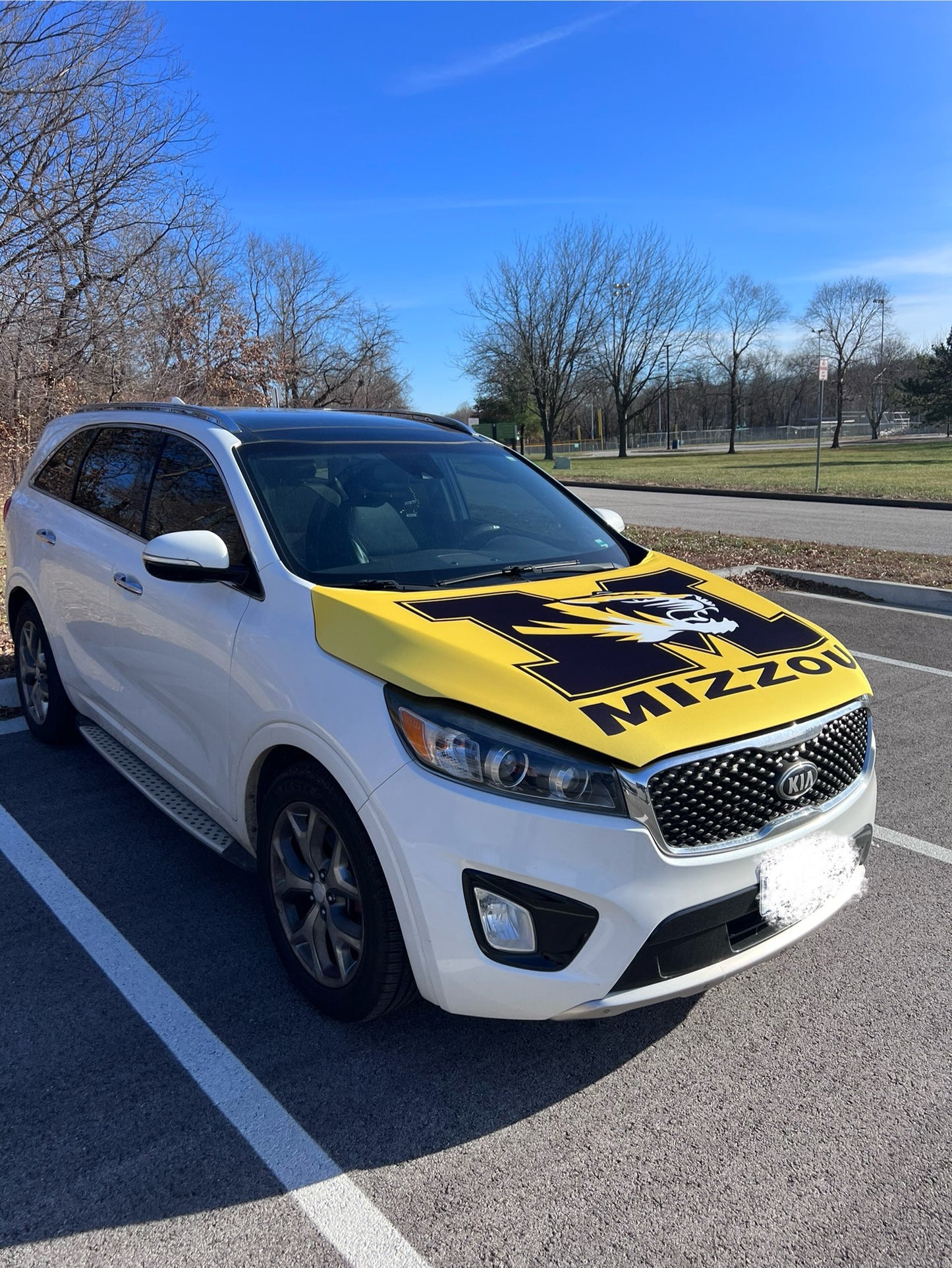 Mizzou College Car Hood Cover