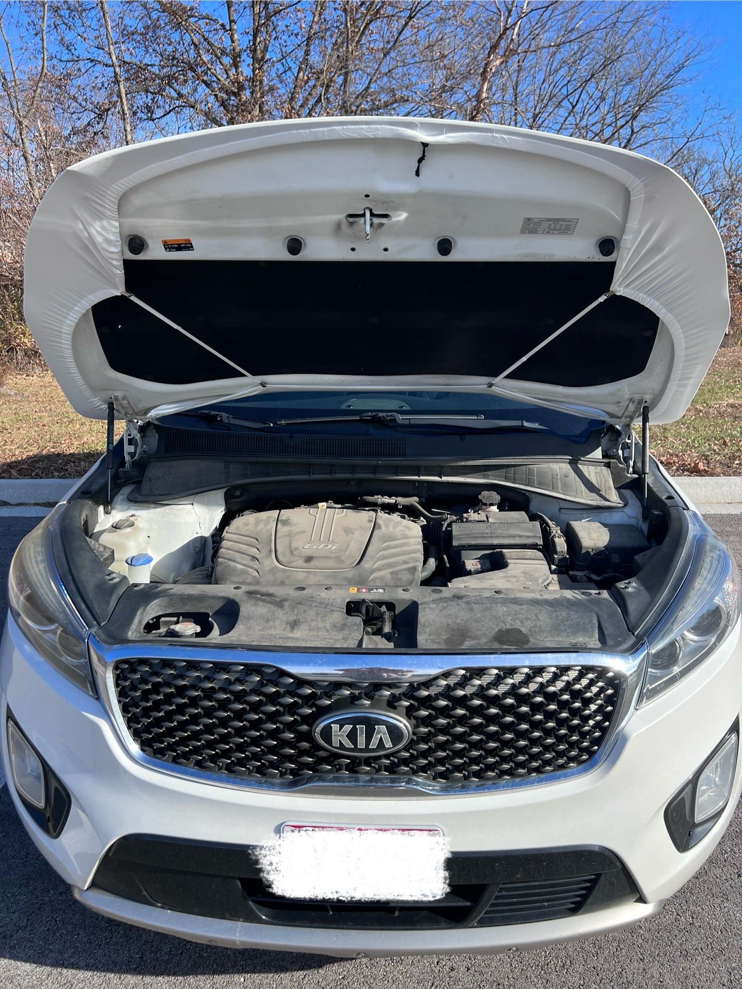 USA Soccer Team Car Hood Cover