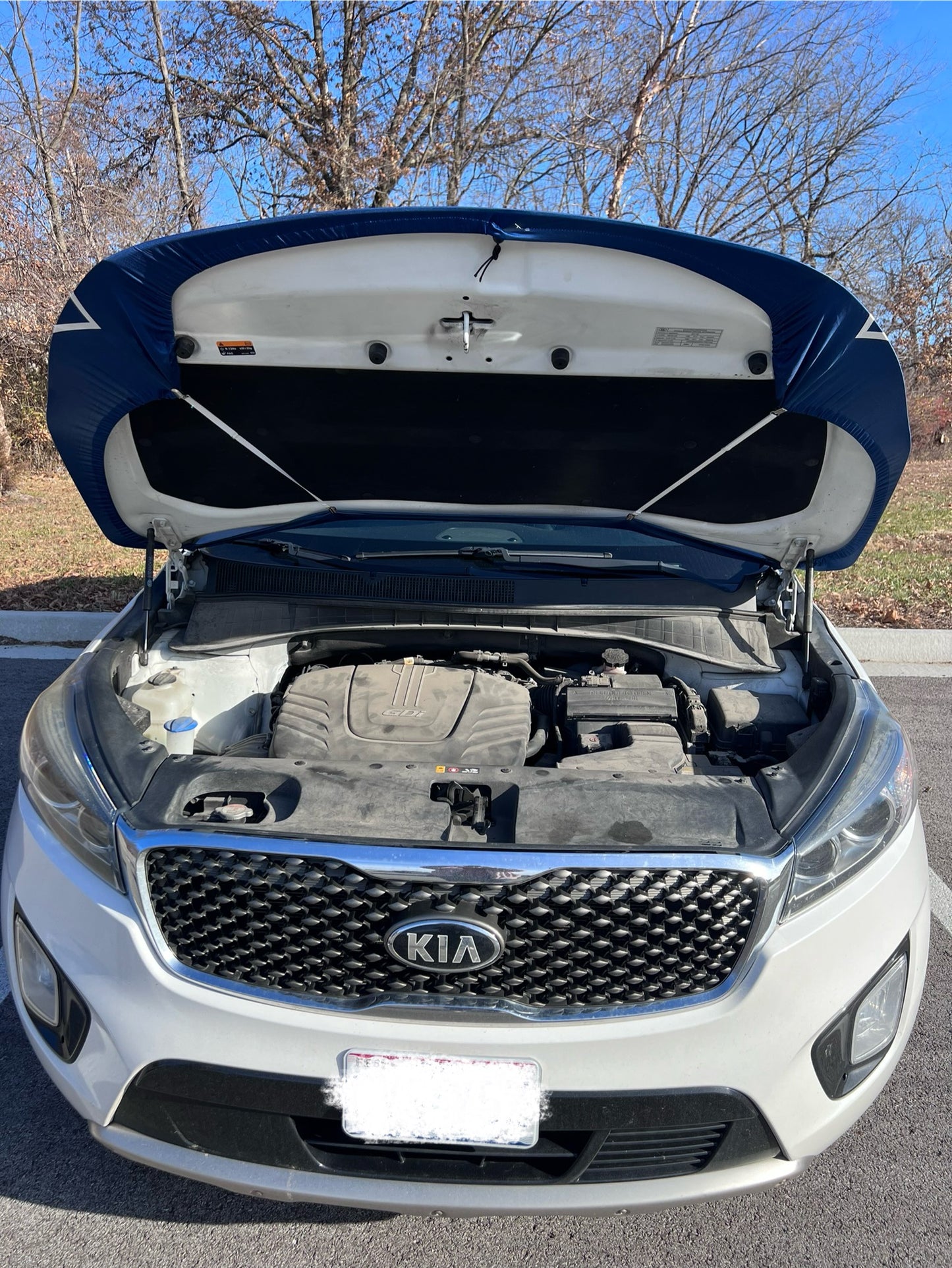 Trump 2024 Car Hood Cover