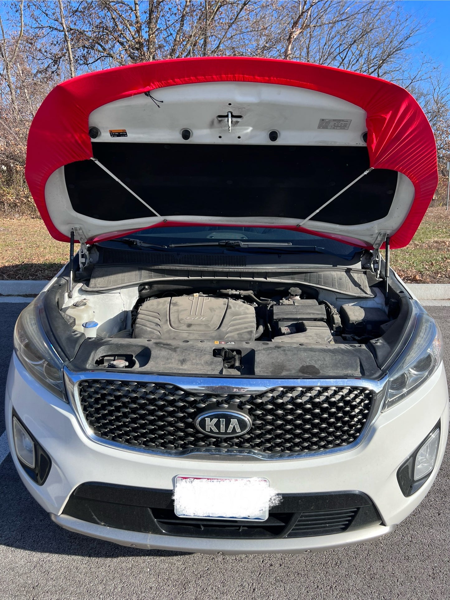 Atlanta Hawks Basketball Car Hood Cover